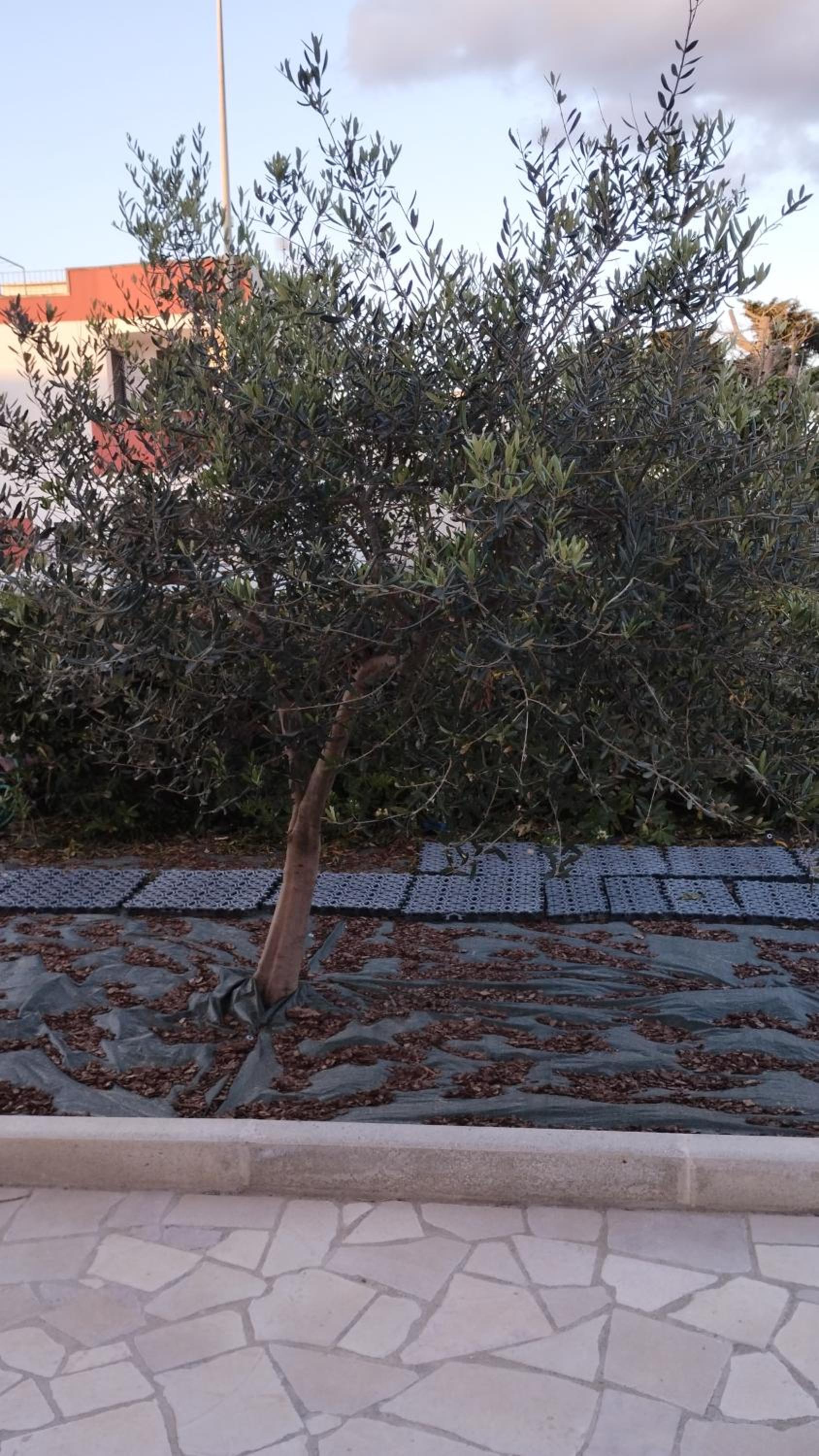 Casa d' angolo view 4