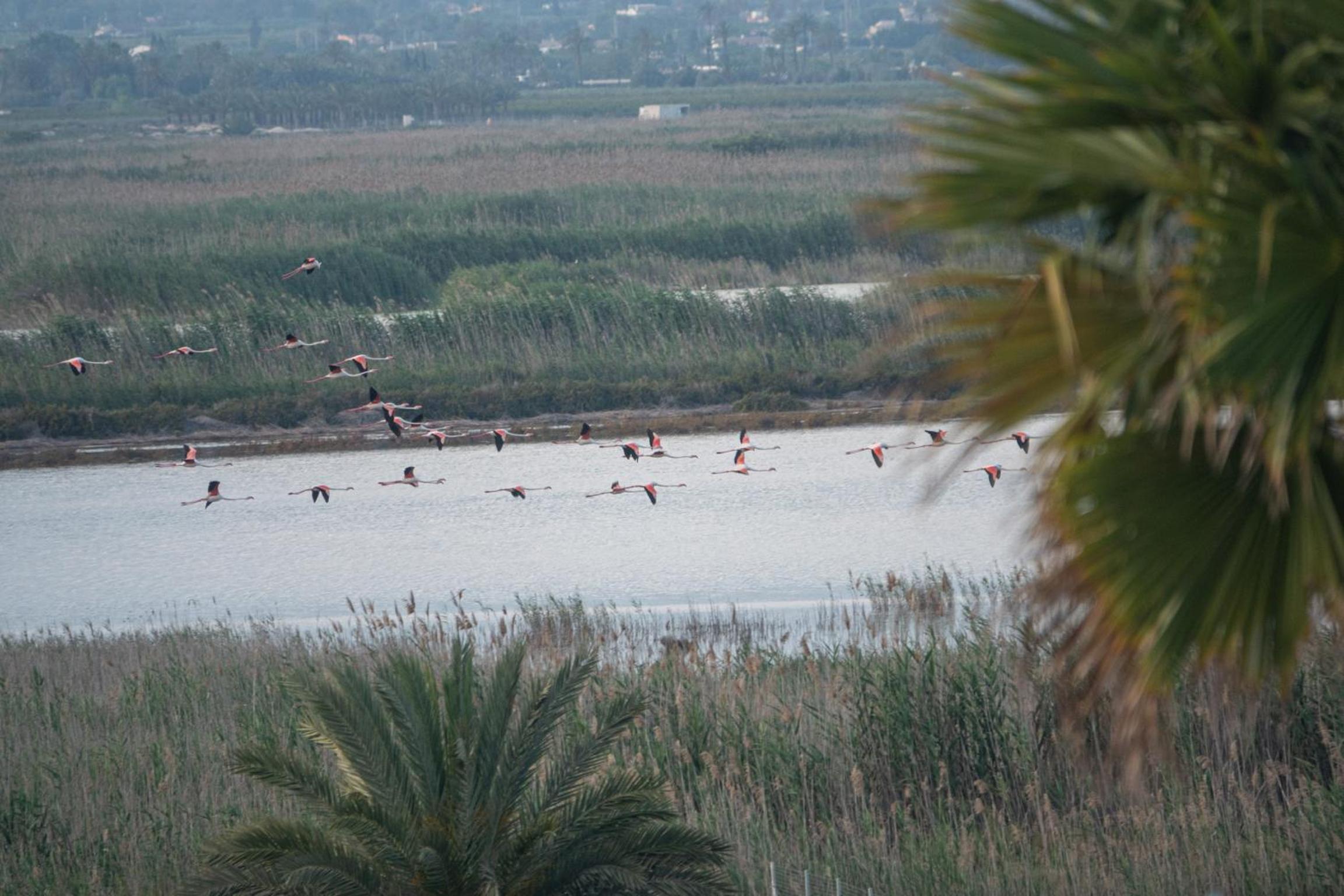 Beach house La Marina