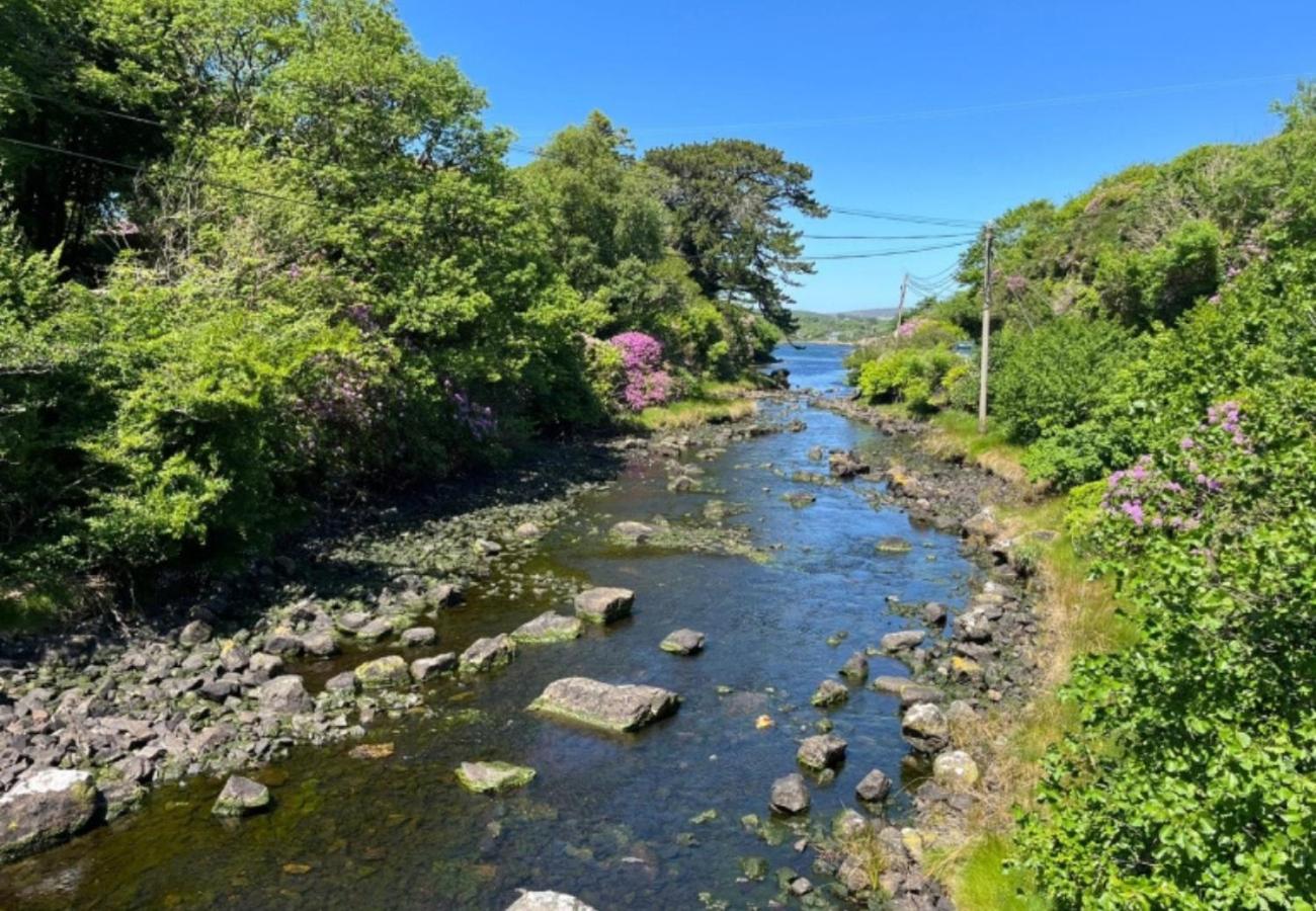 River Cottage, Clifden view 2