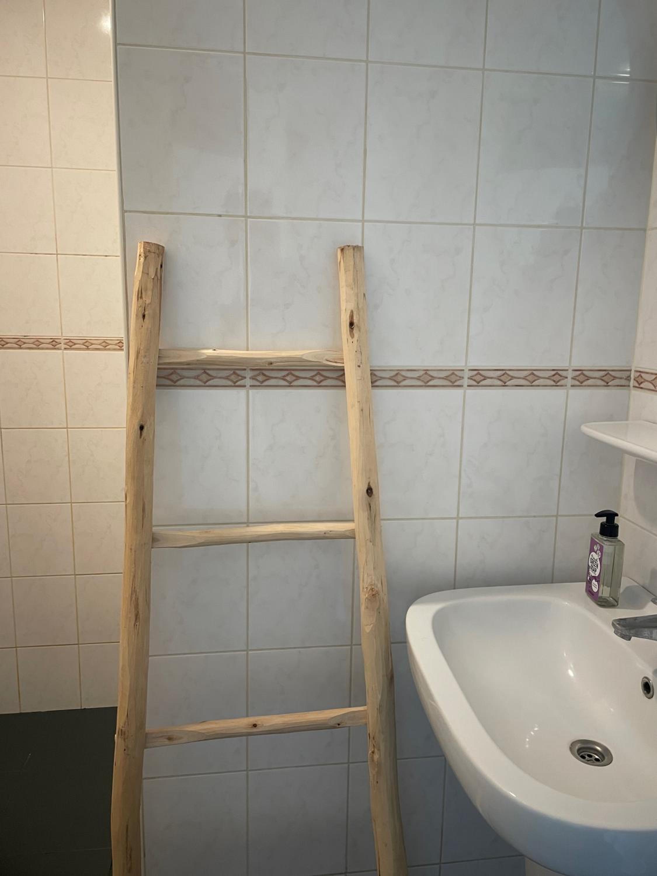 Scholekster