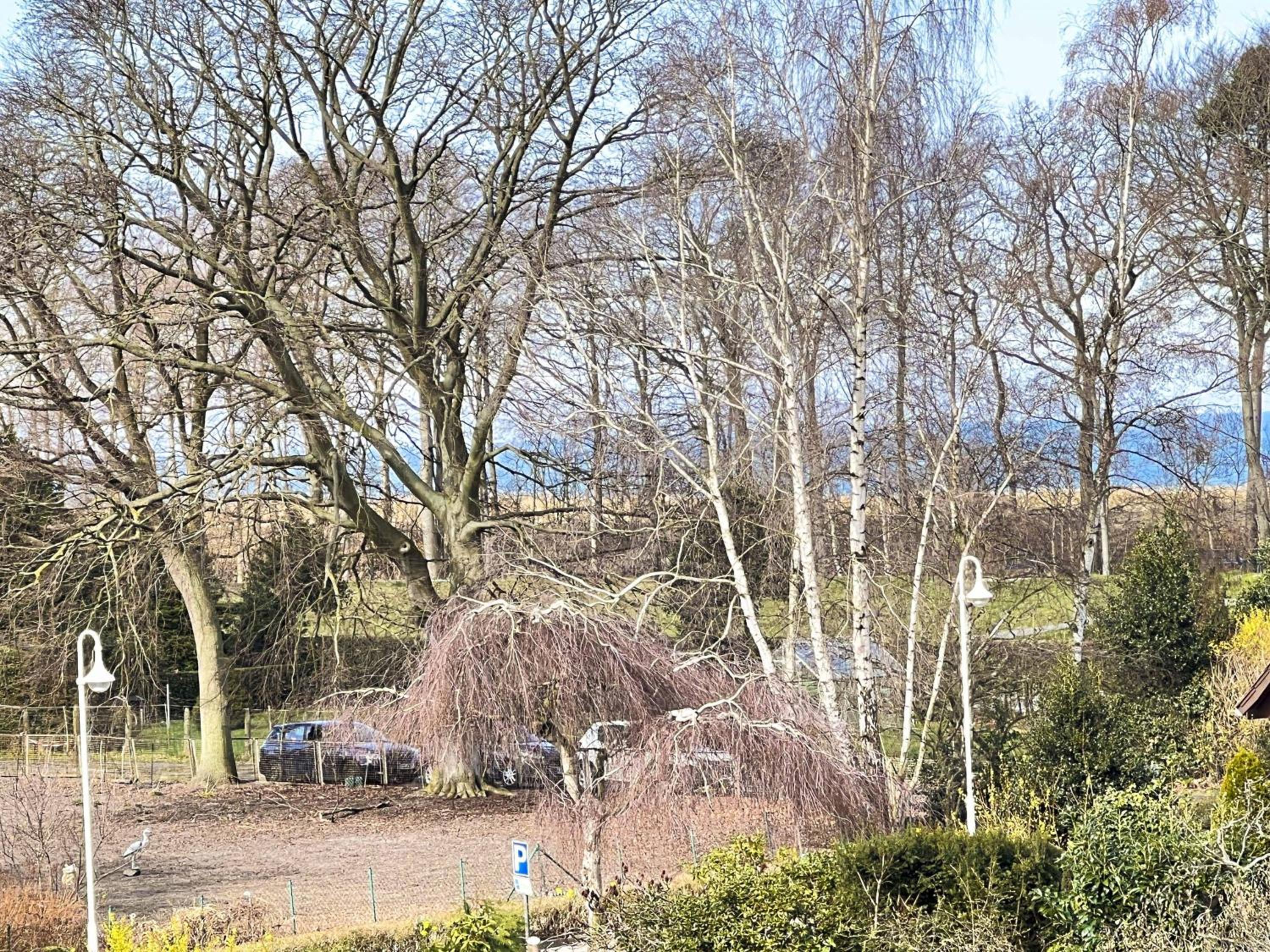 Ostseekieker