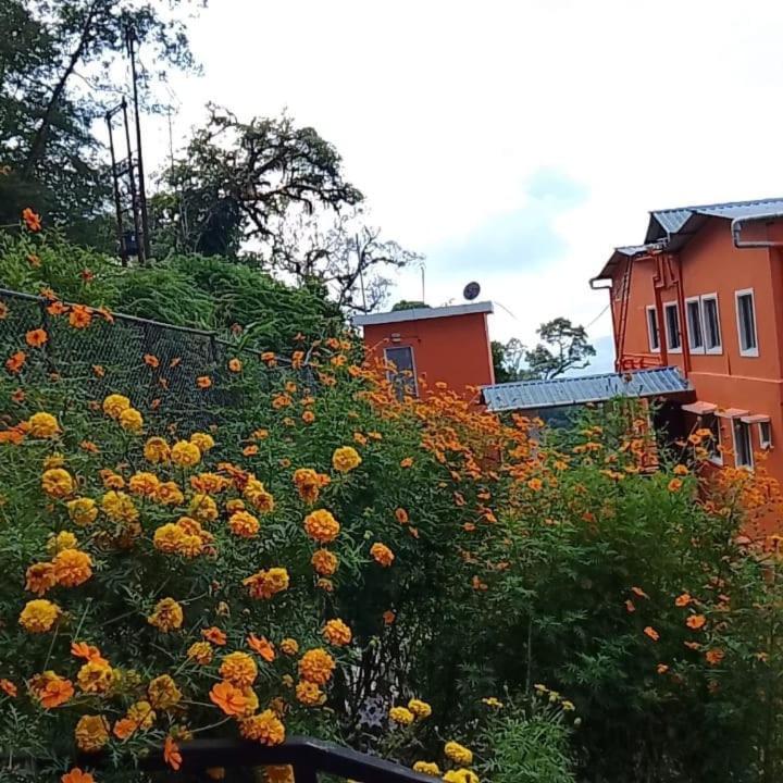 Green Canvas Homestay