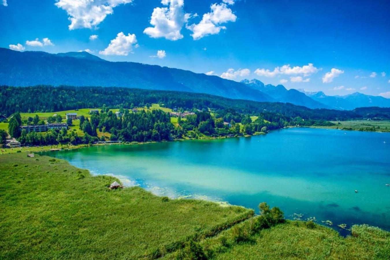 Alpenblick Apartment