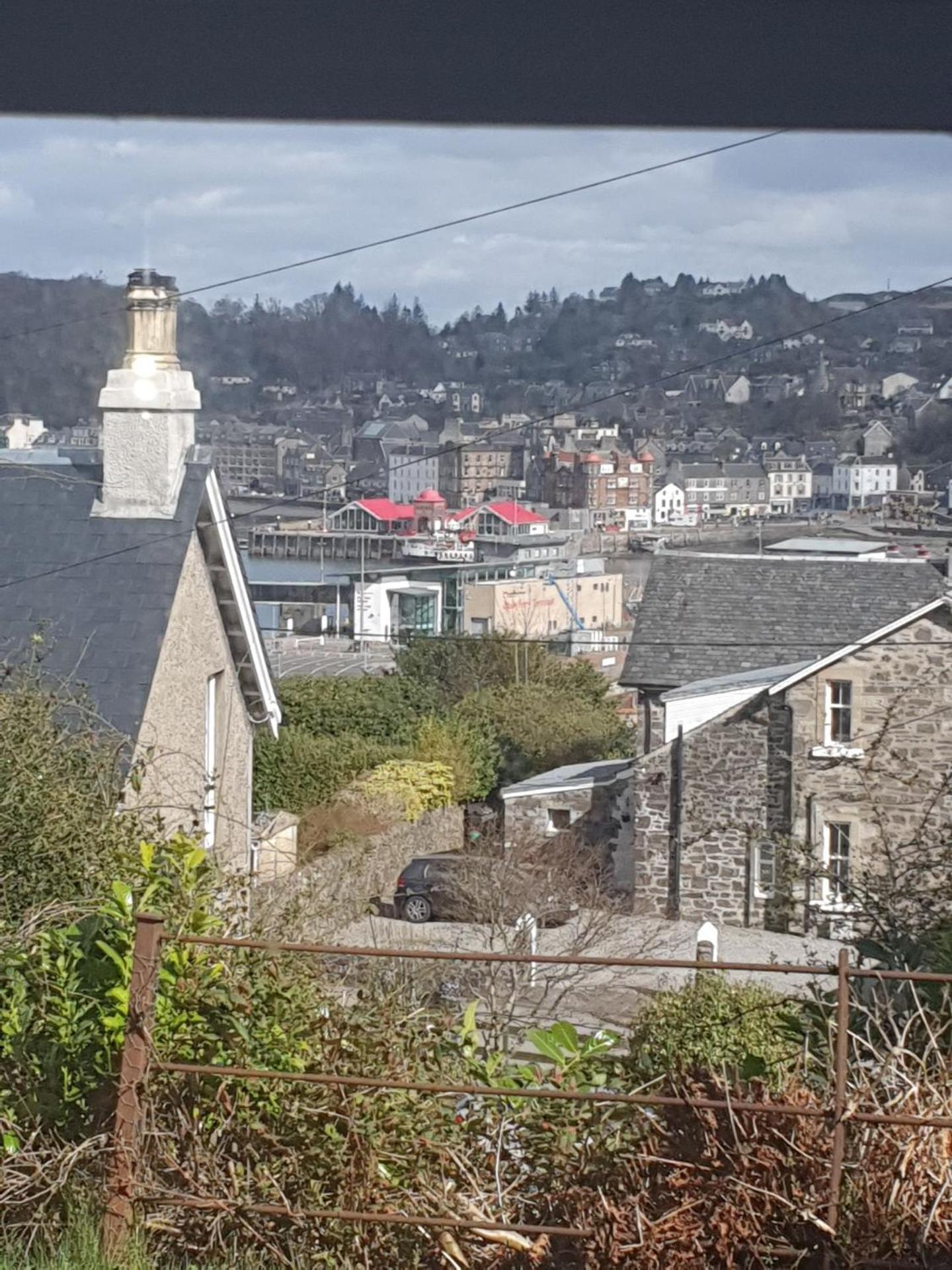 McCaig's View