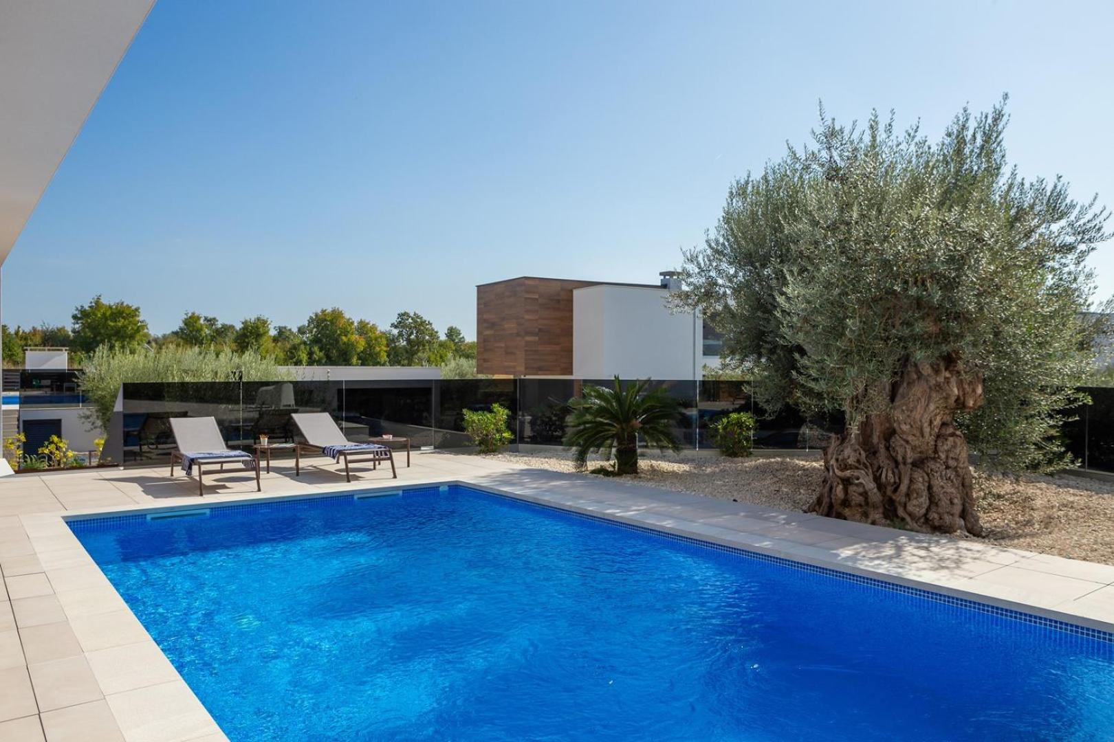 Villa Old Olive V view 2