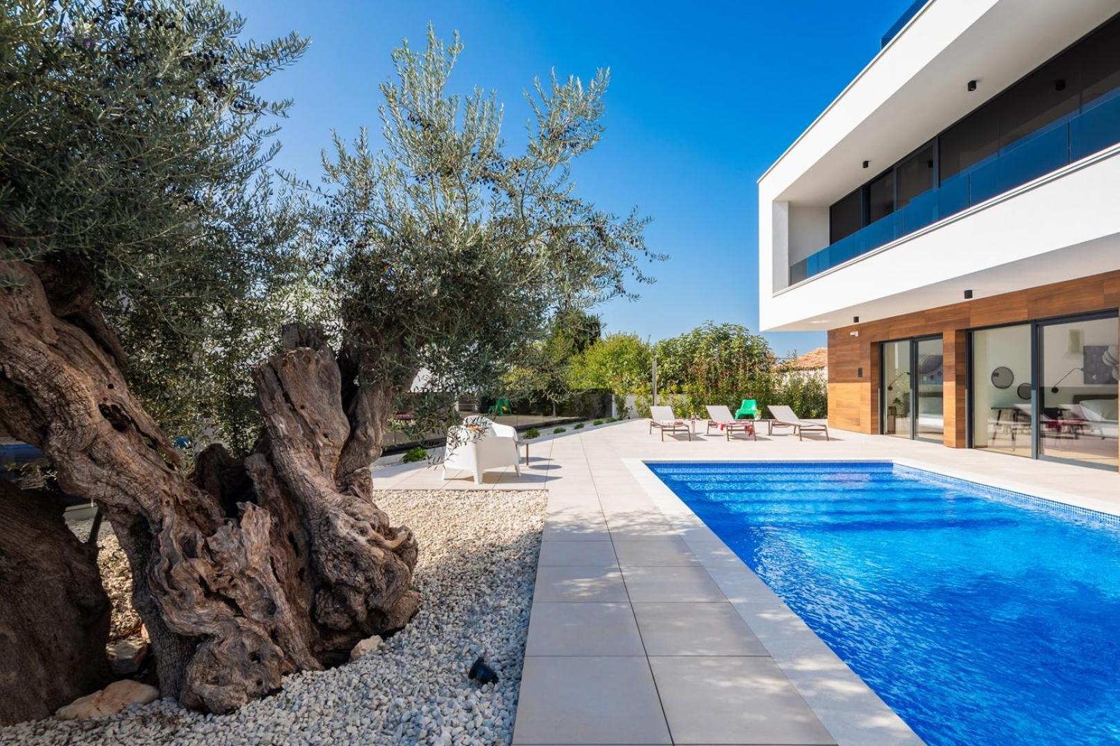 Villa Old Olive V view 5