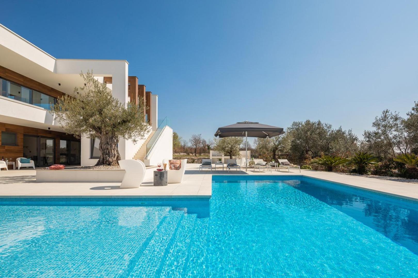 Villa Old Olive VIII view 3