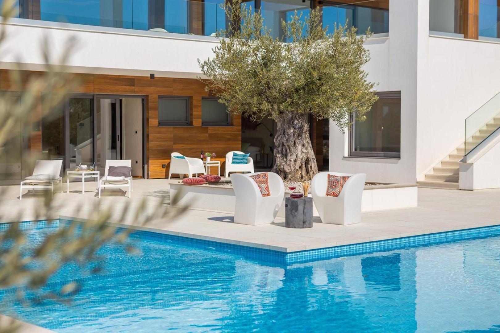 Villa Old Olive VIII view 5