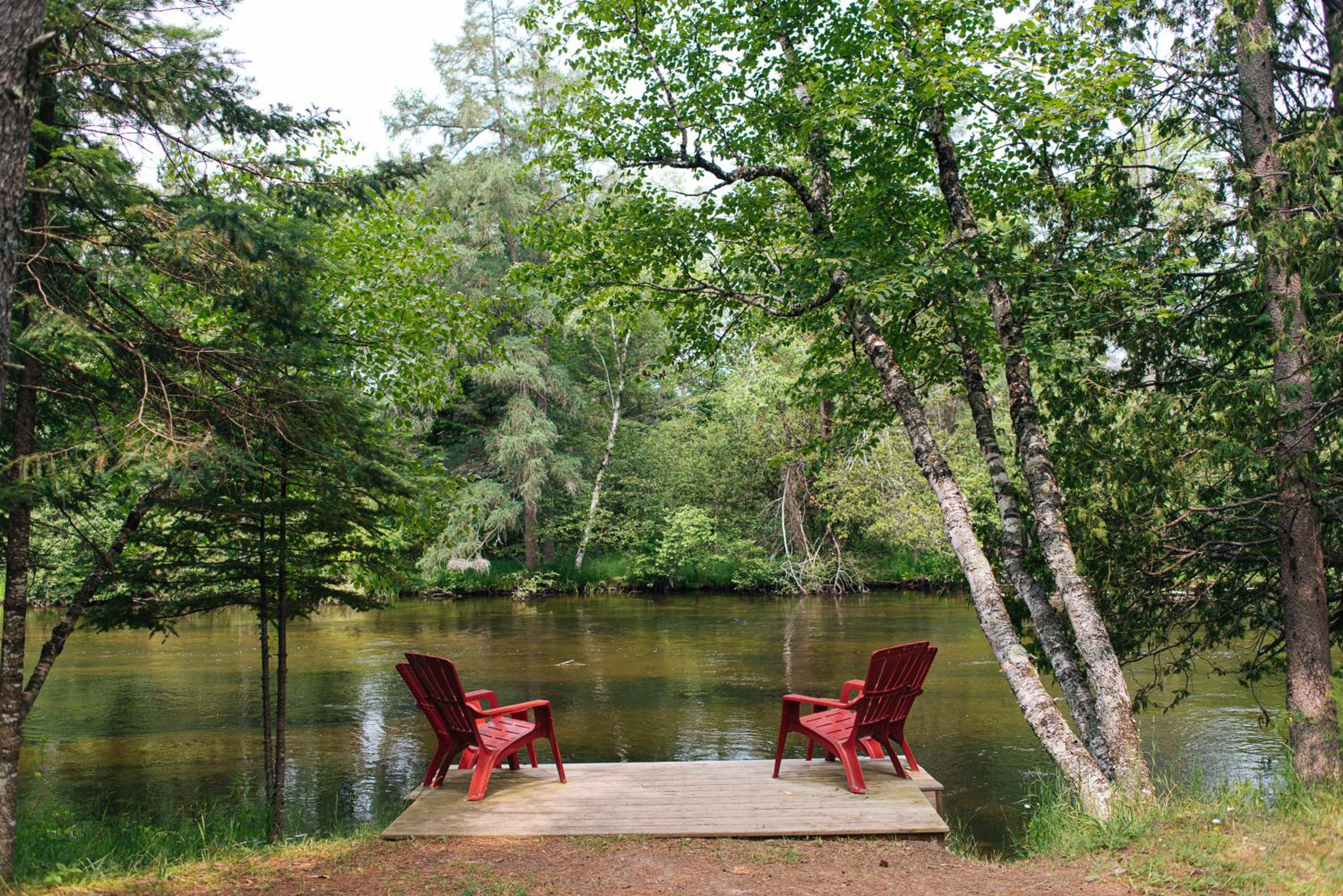 Photo 42