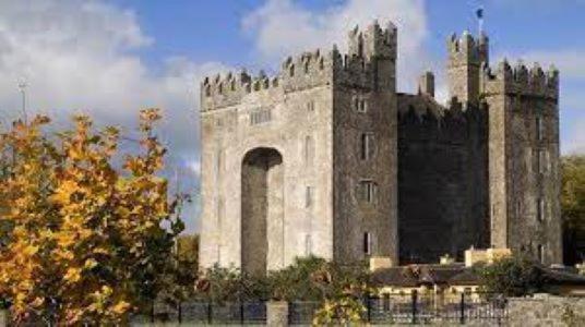 Limerick Vacations - Castletroy Park Hotel Suites - Property Image 4