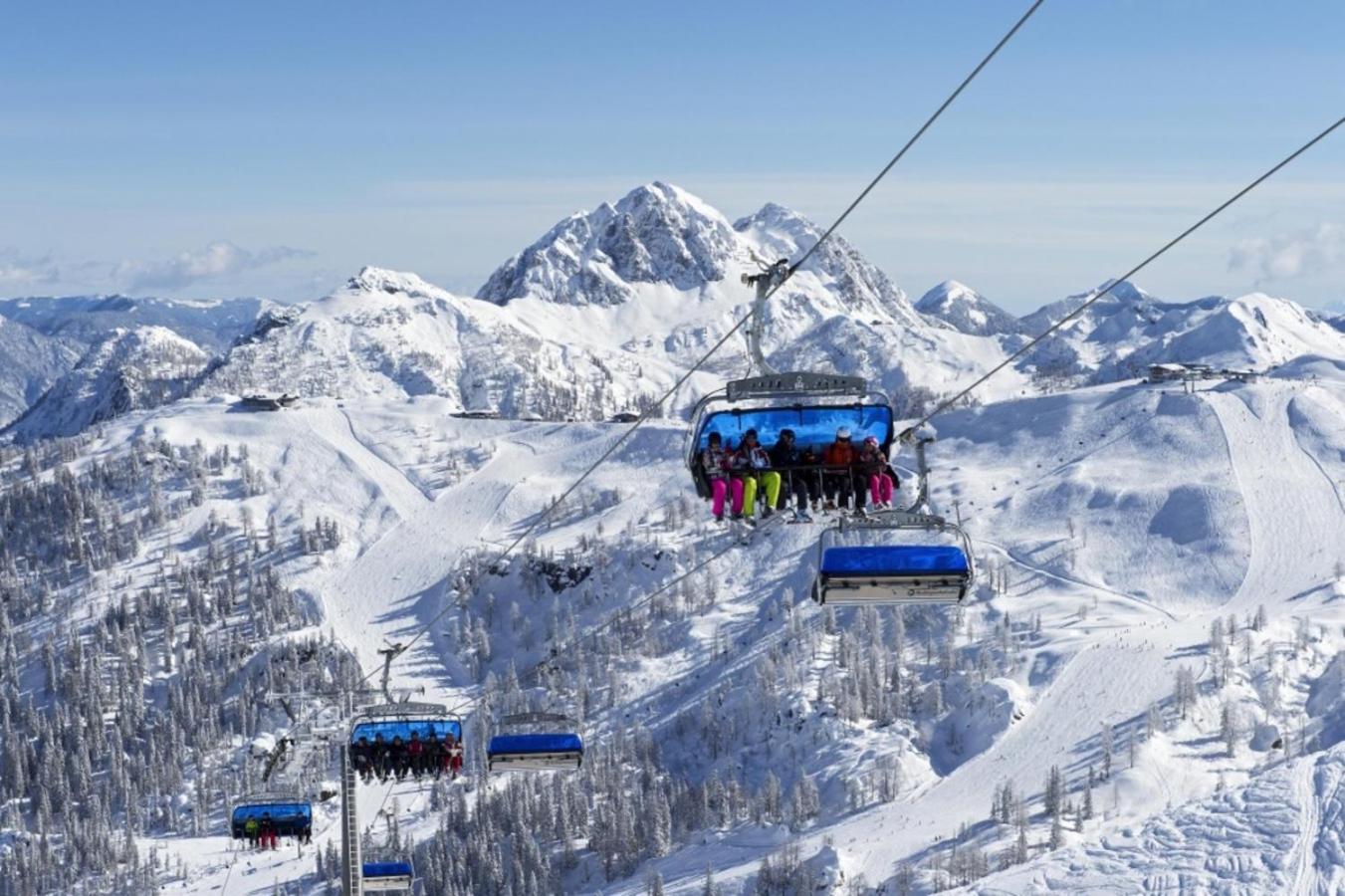 Alpenblick Apartment