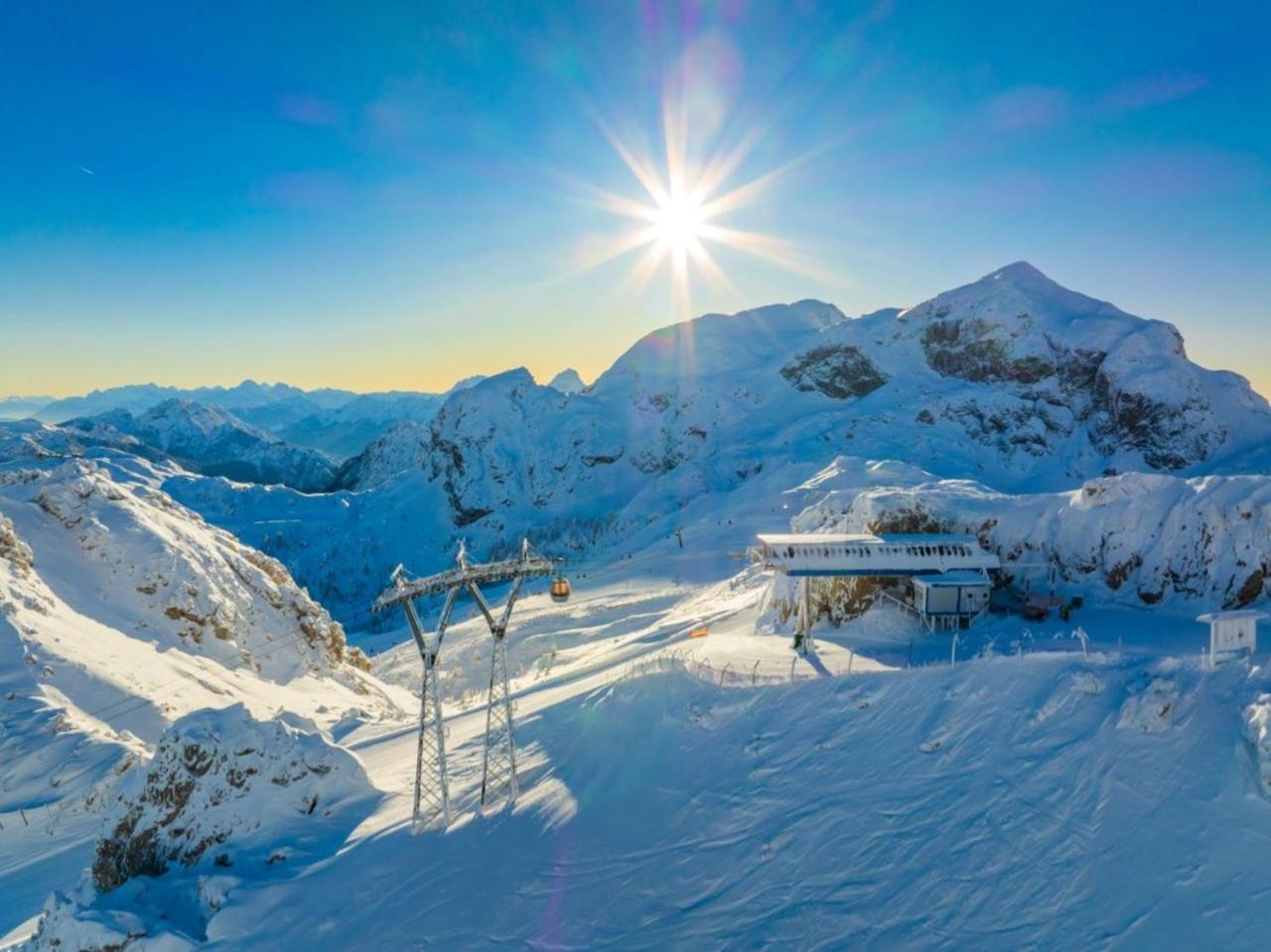 Alpenblick Apartment