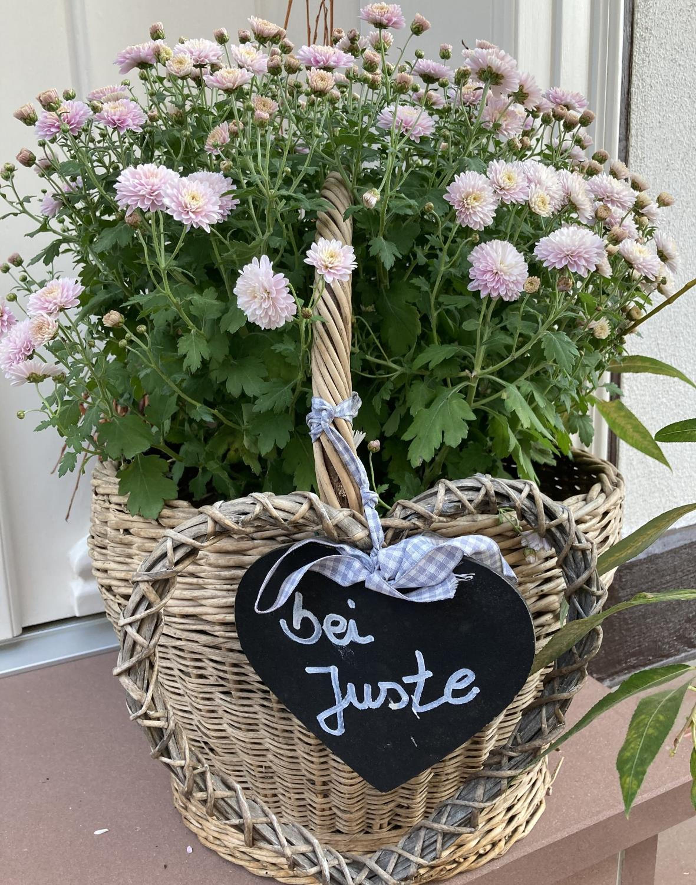 Ferienhaus bei Juste