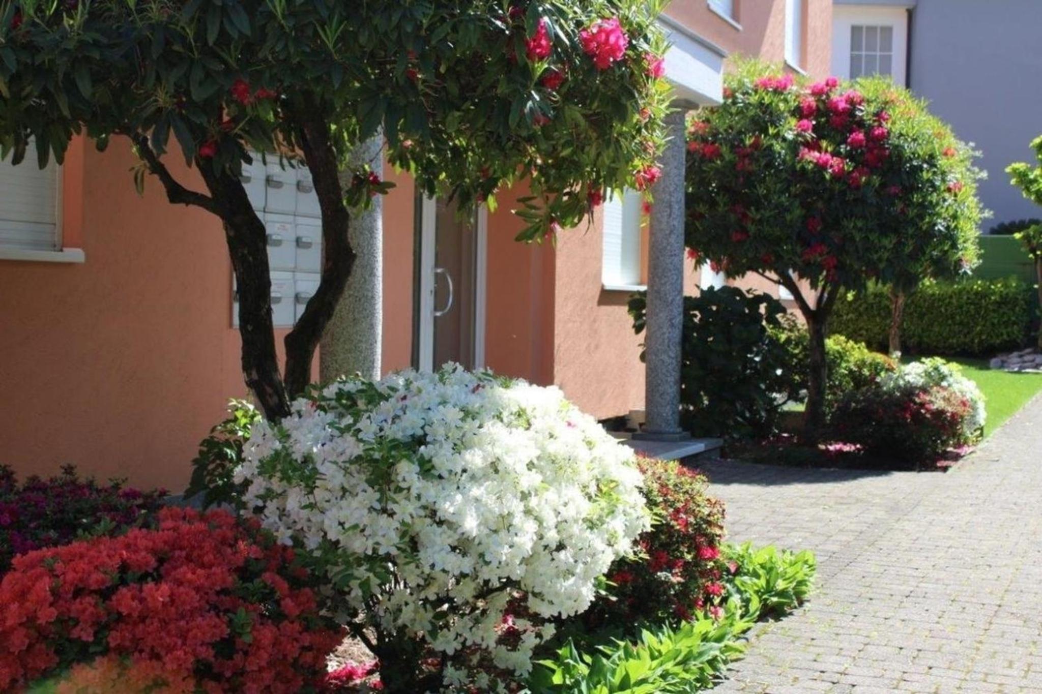 Ferienwohnung Residenza al Mulin mit Pool an bester Lage