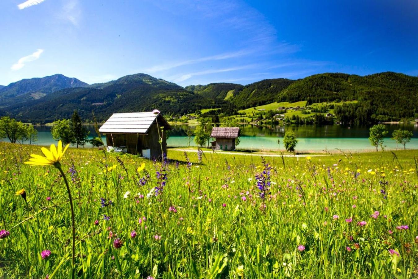 Alpenblick Apartment