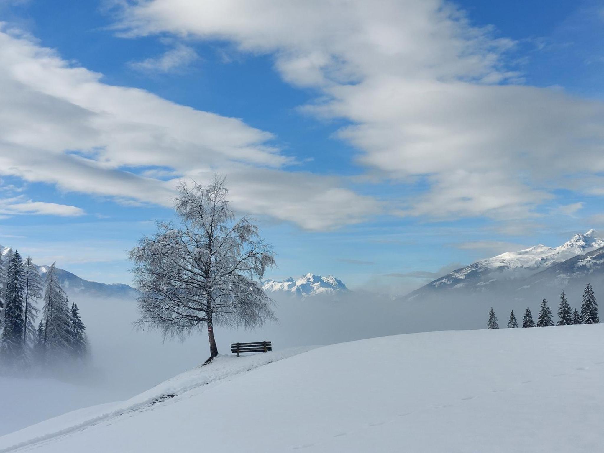 Alpenblick Apartment