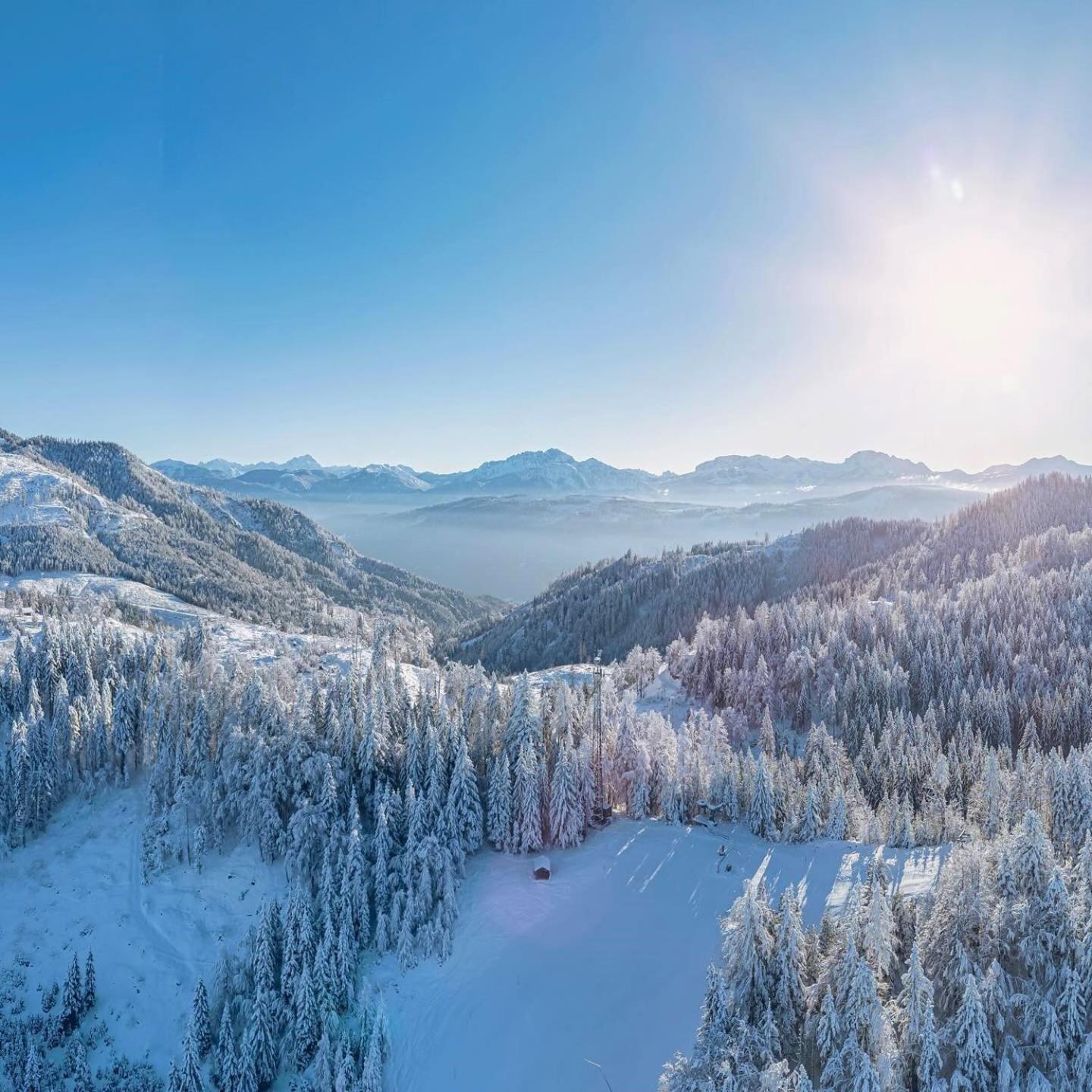 Alpenblick Apartment