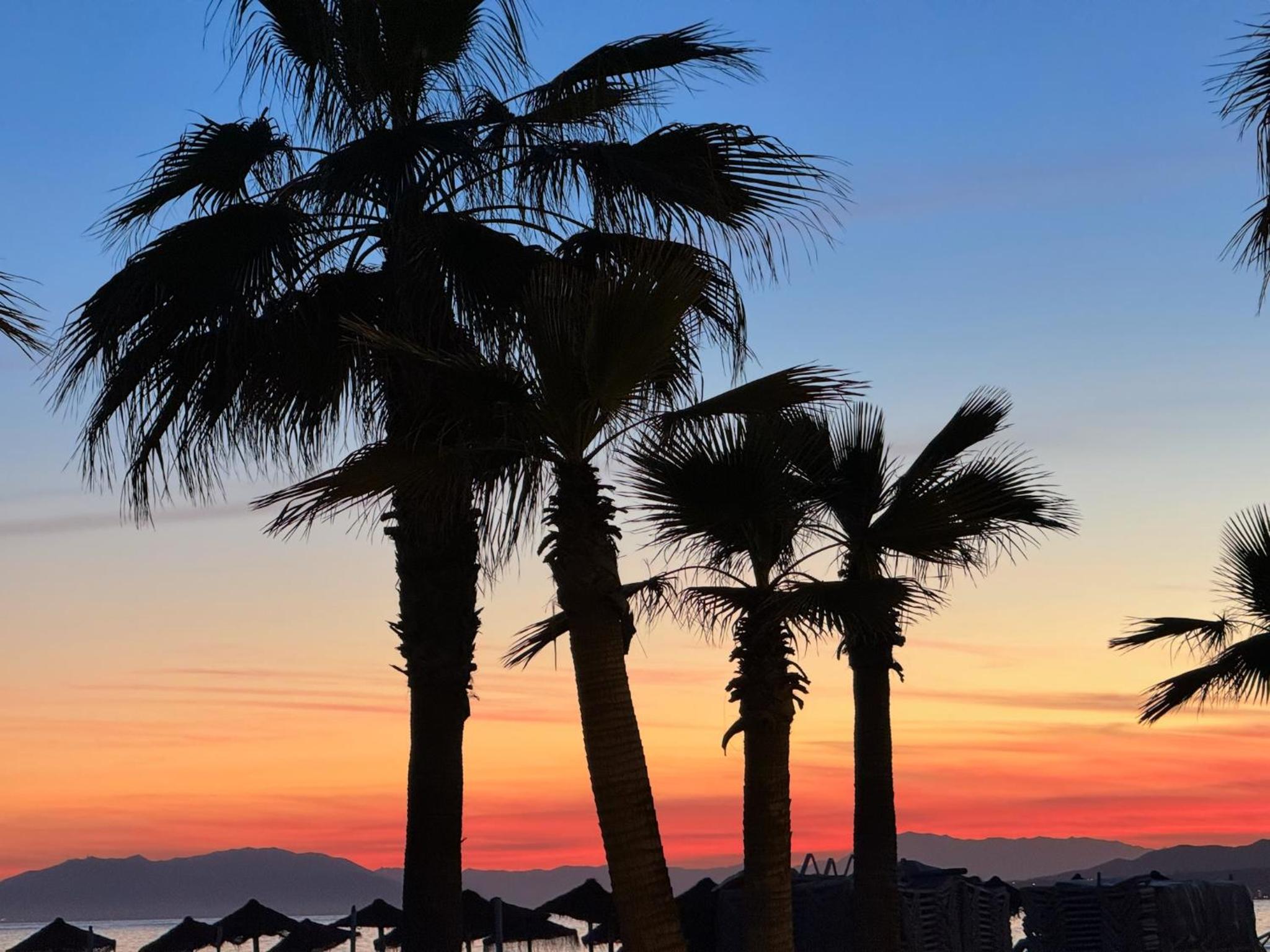 Strandnära boende i Torrox Costa