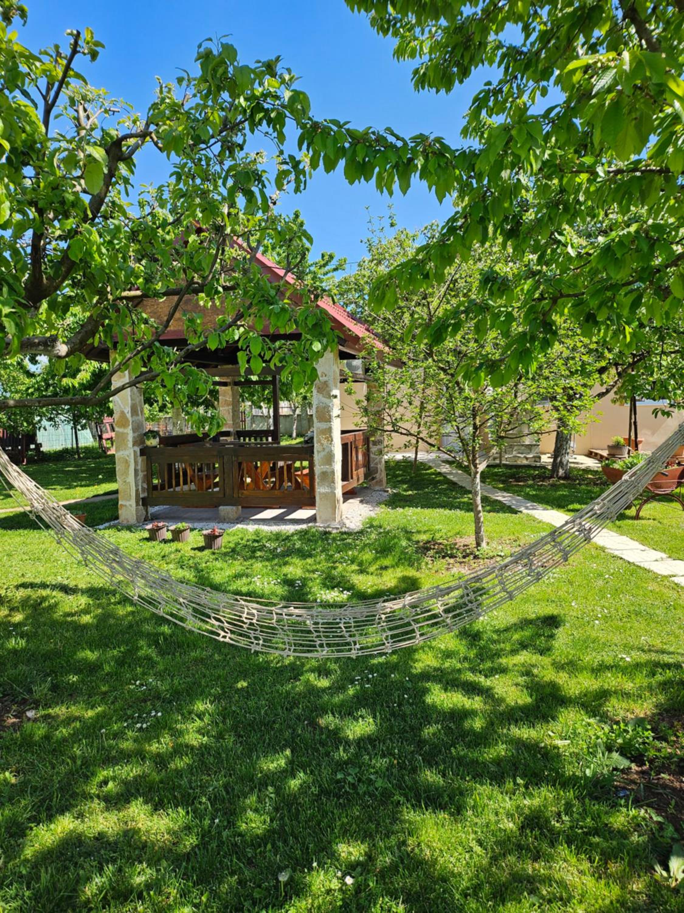 Calm Nest view 2