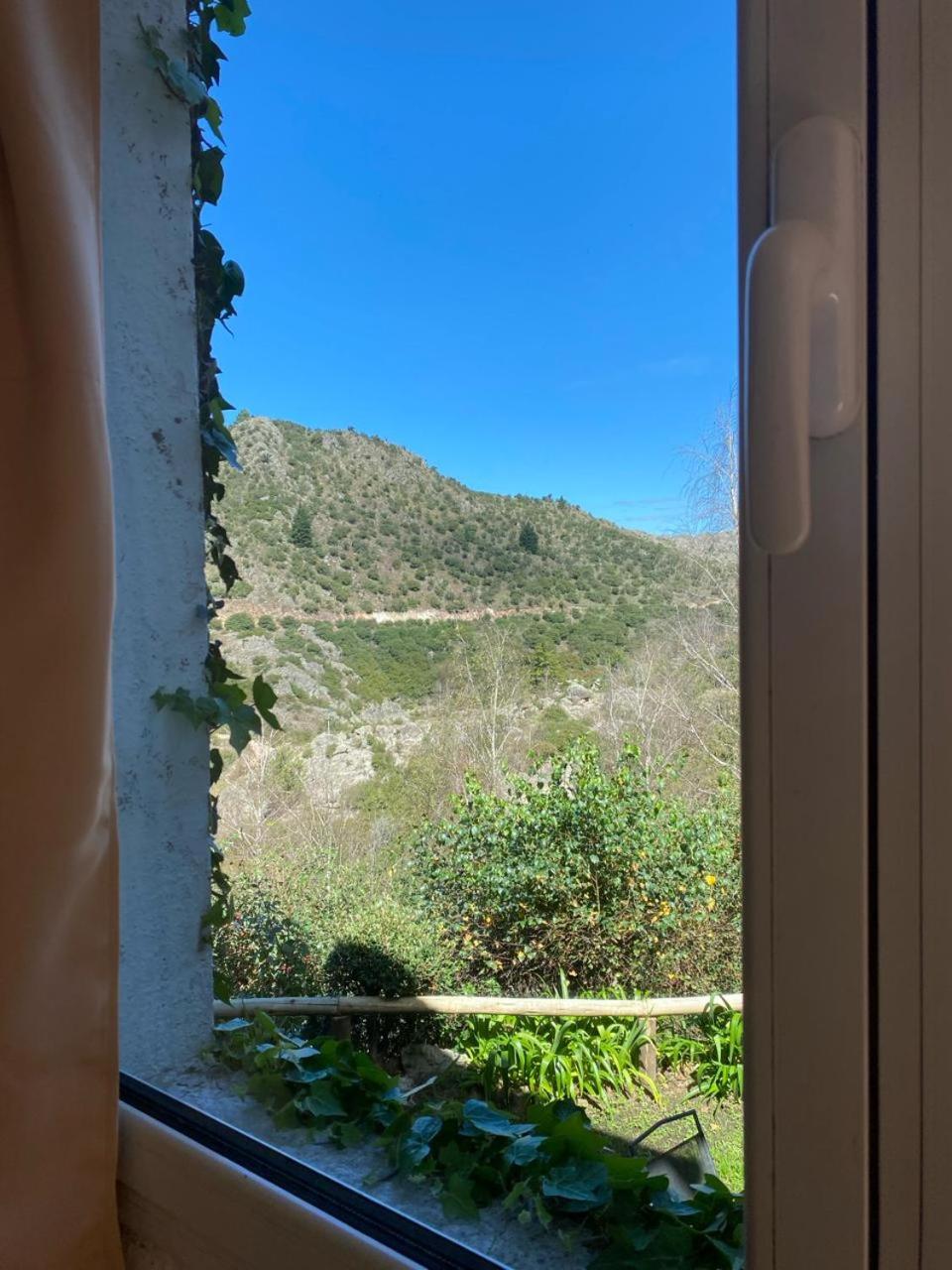 VISTA FRANCA