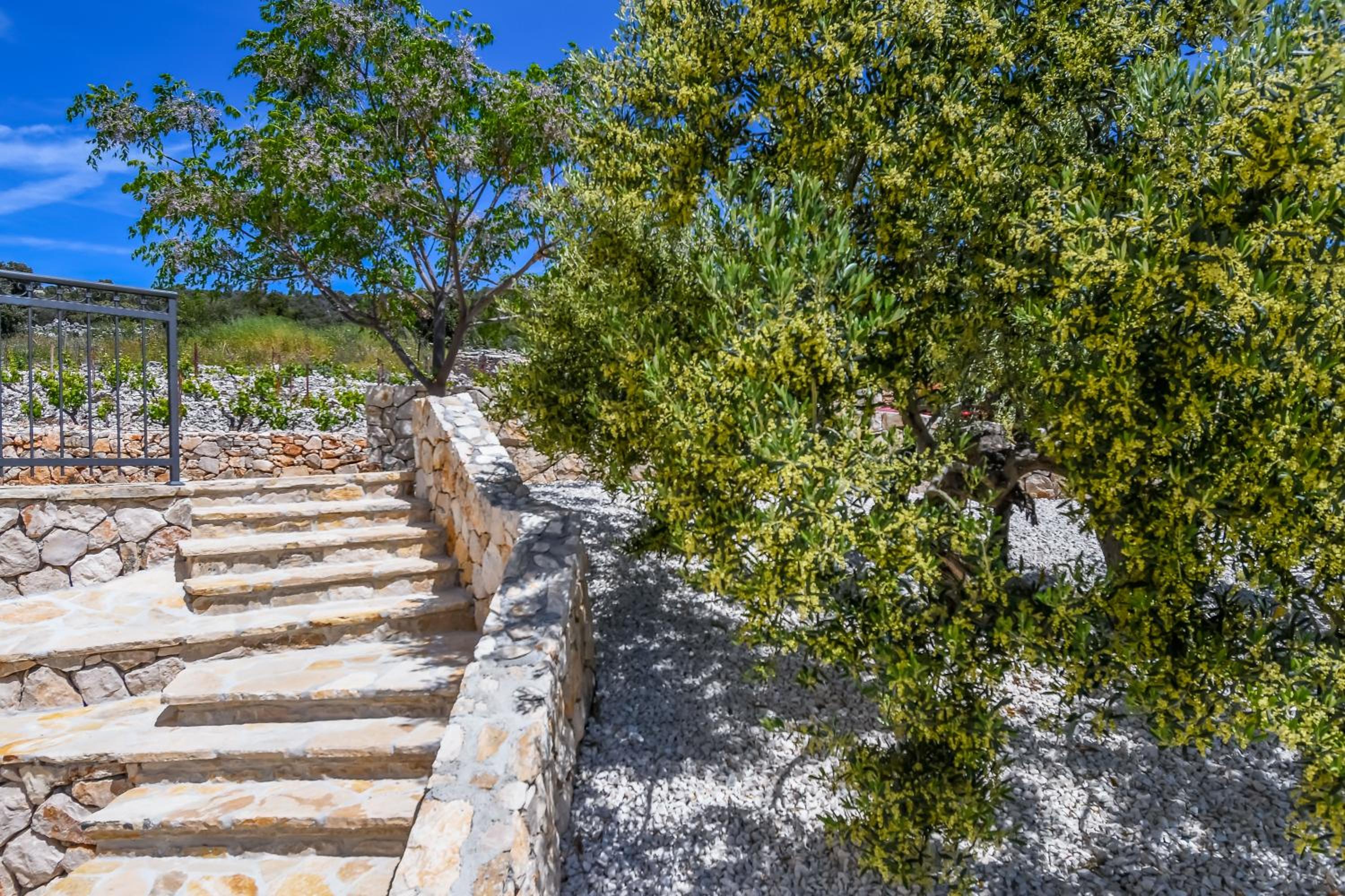Villa Provansa