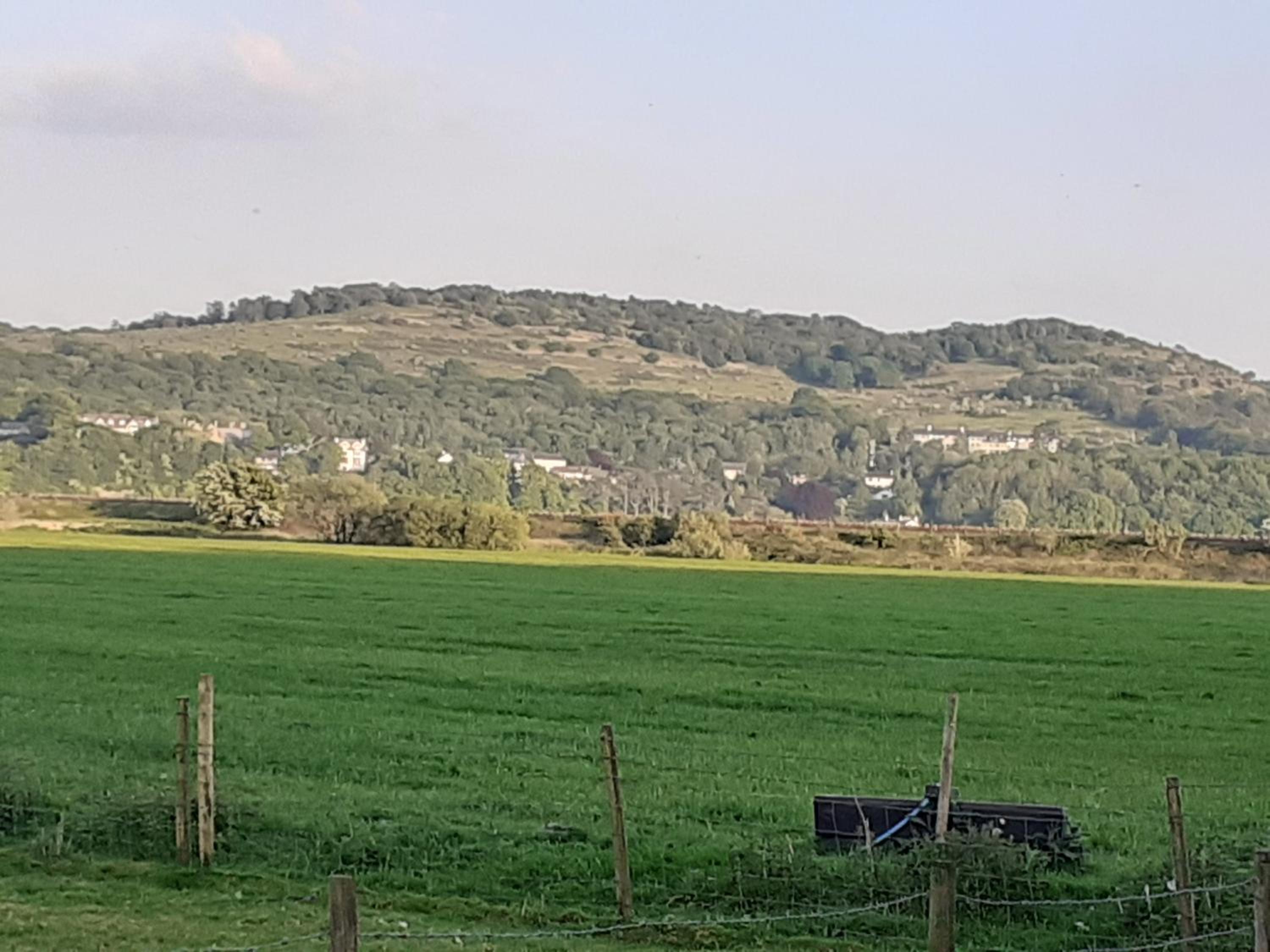 Sunnyside Farm