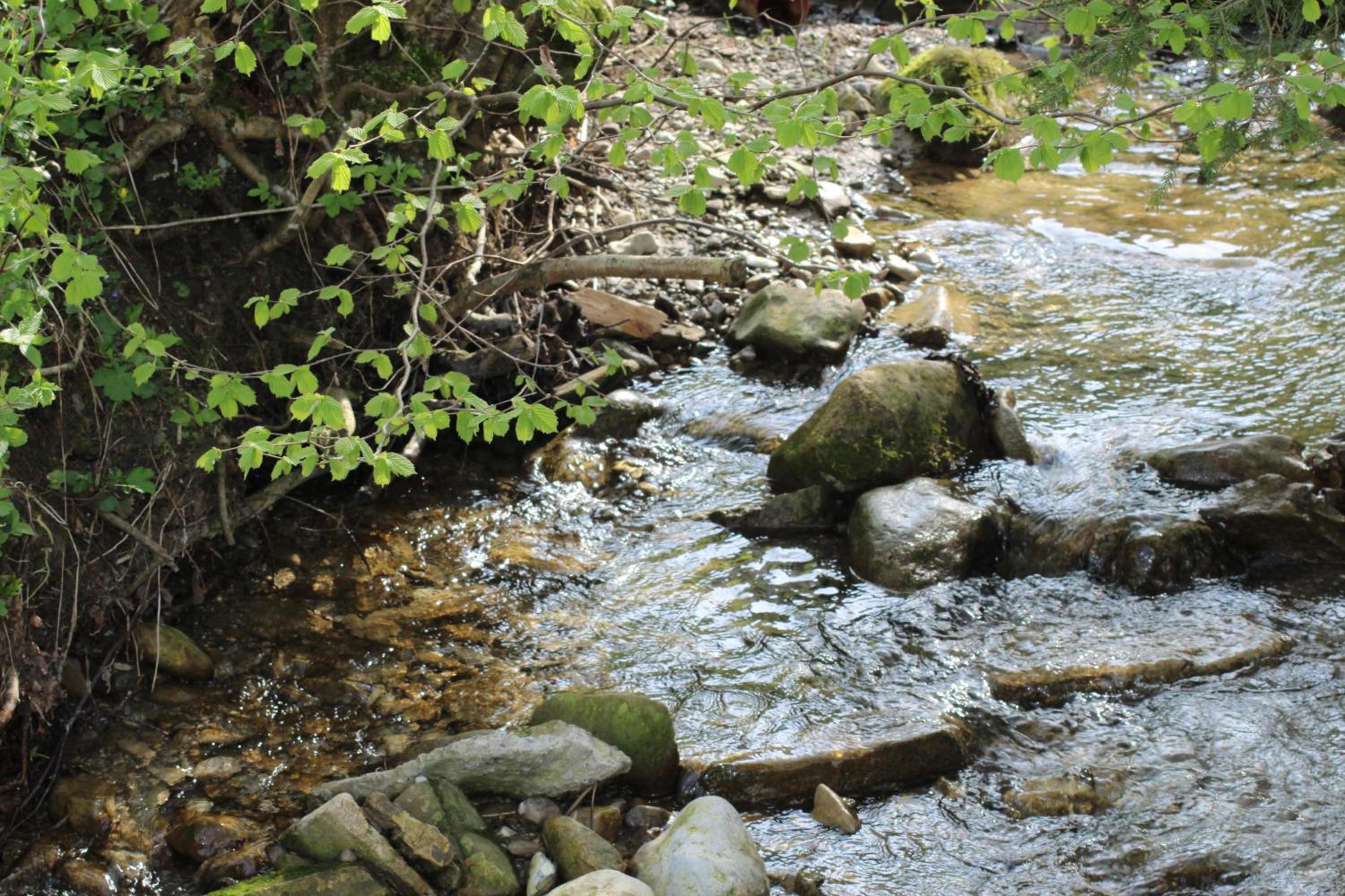 Naturparadies Silvia