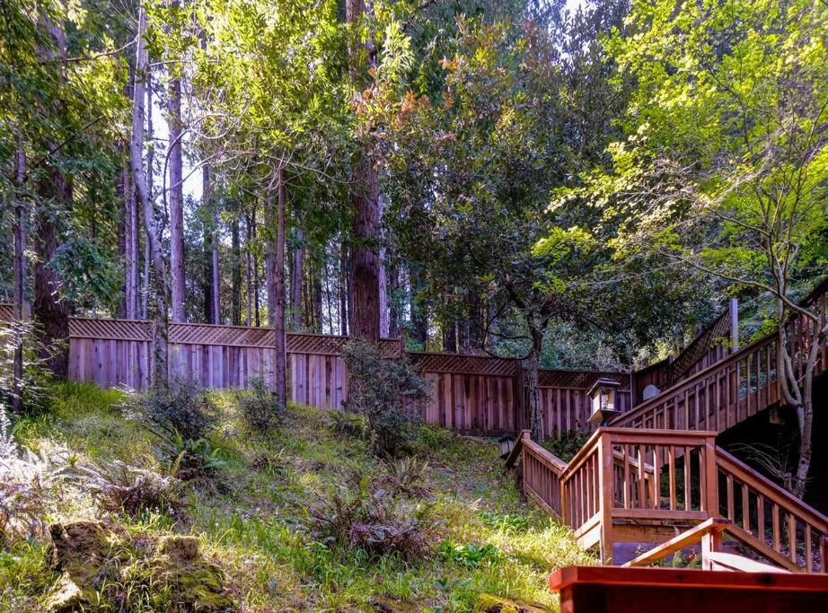 Woodland Retreat