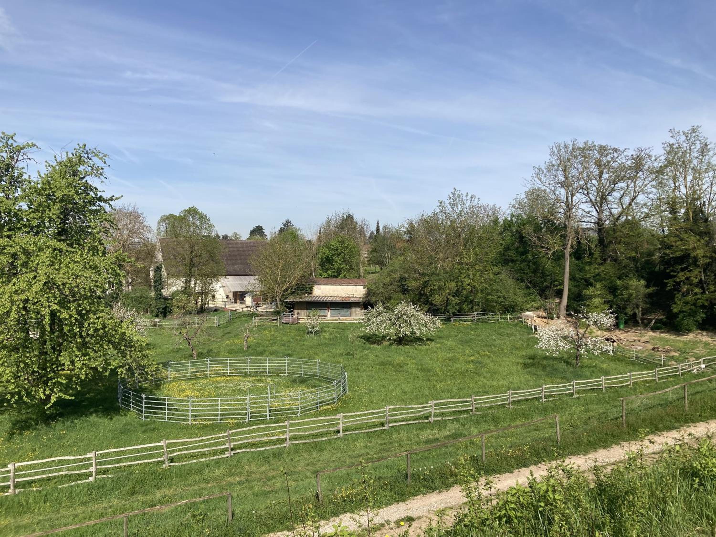 Gabelmann Mühle