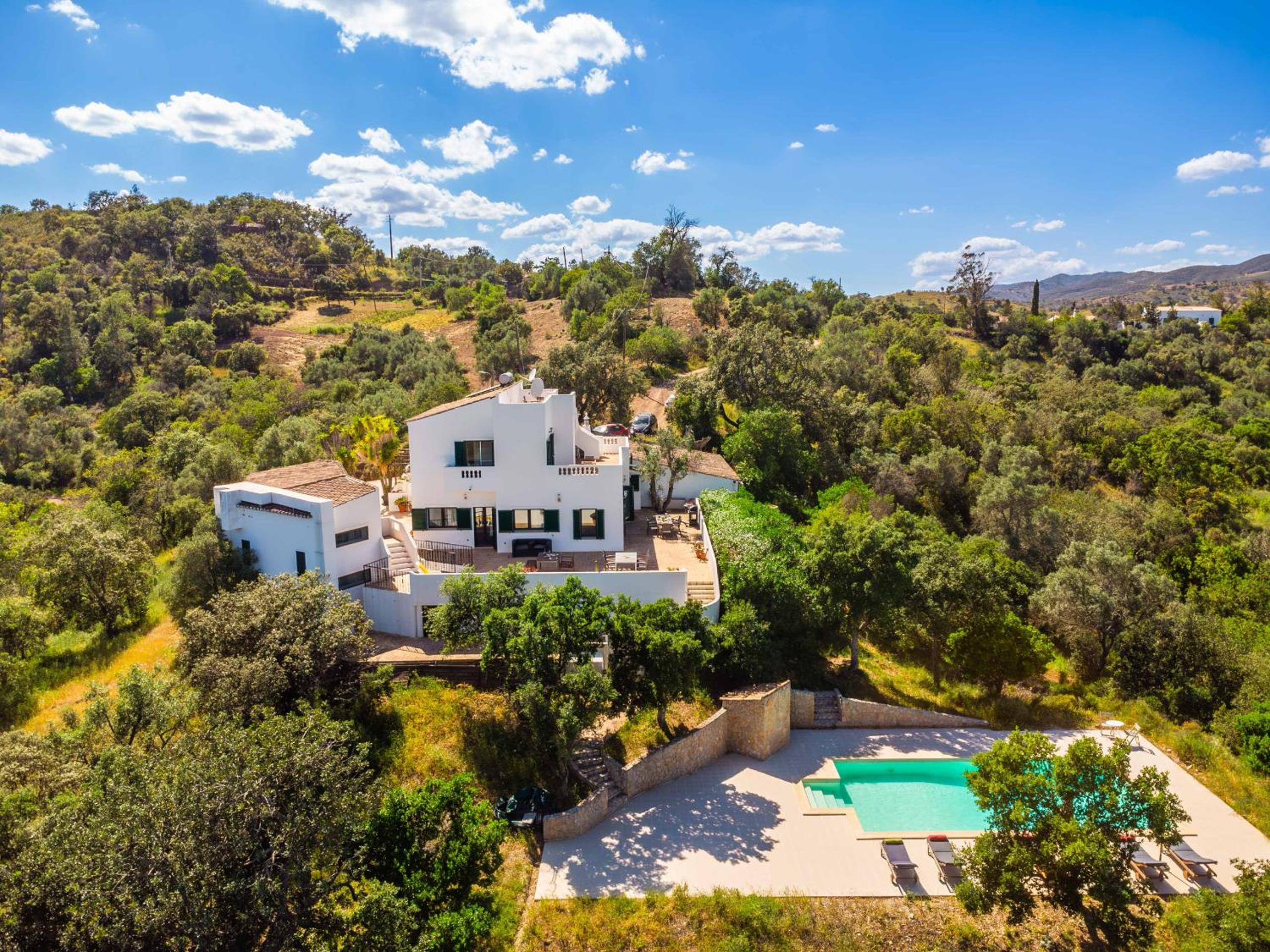 Photo 46