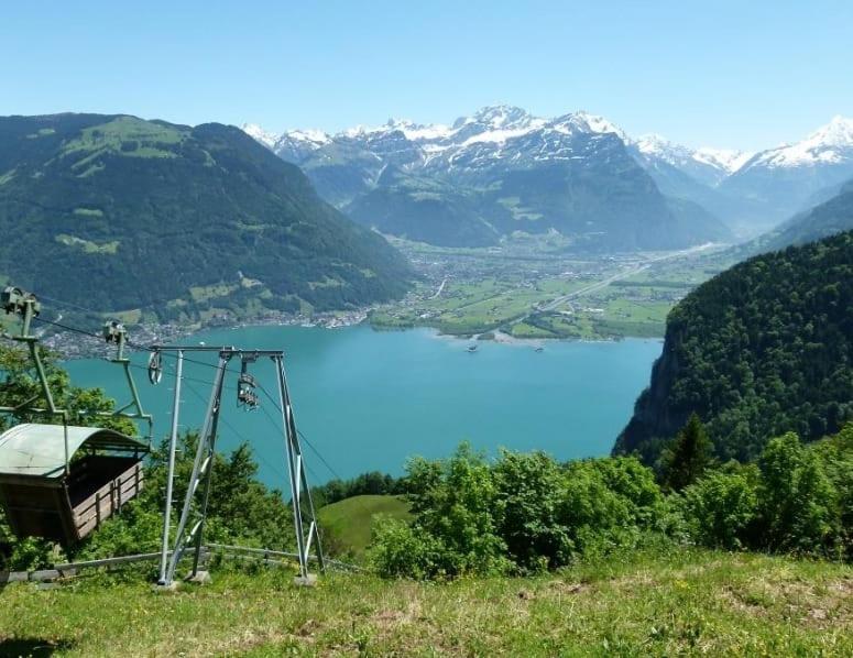 Alpenperle