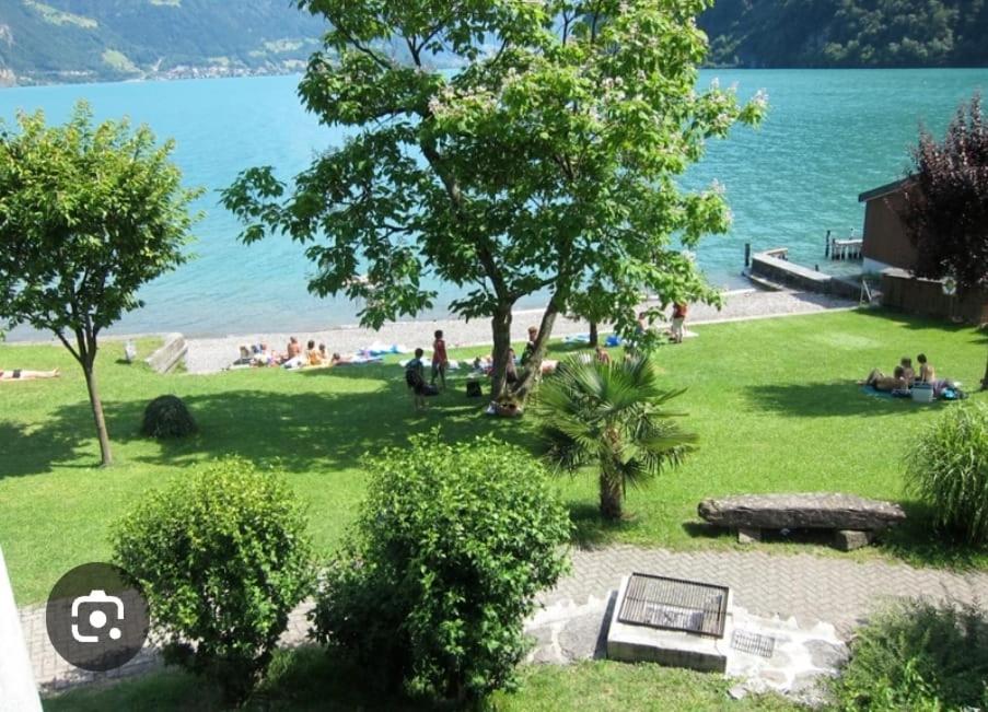 Alpenperle