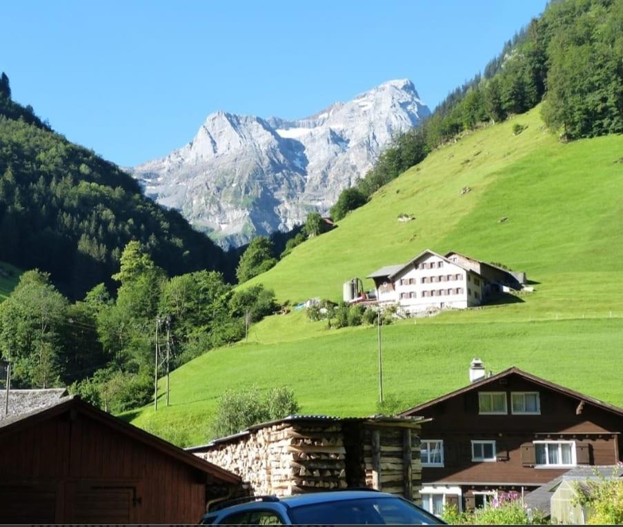 Alpenperle