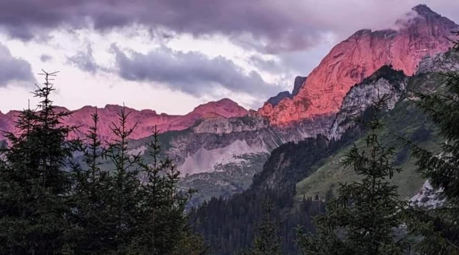 Alpenperle