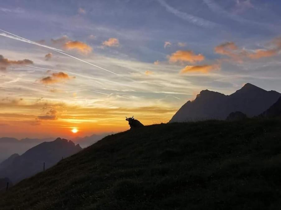 Alpenperle