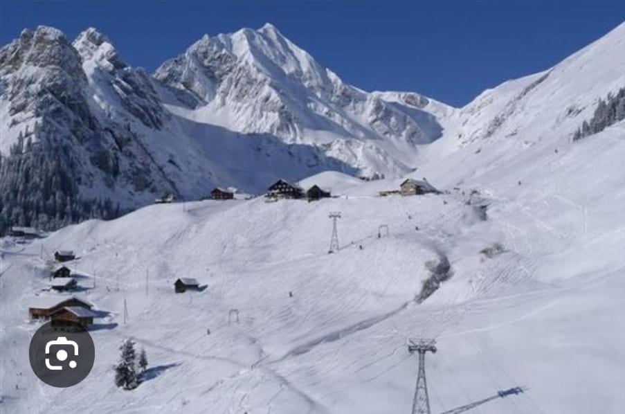 Alpenperle