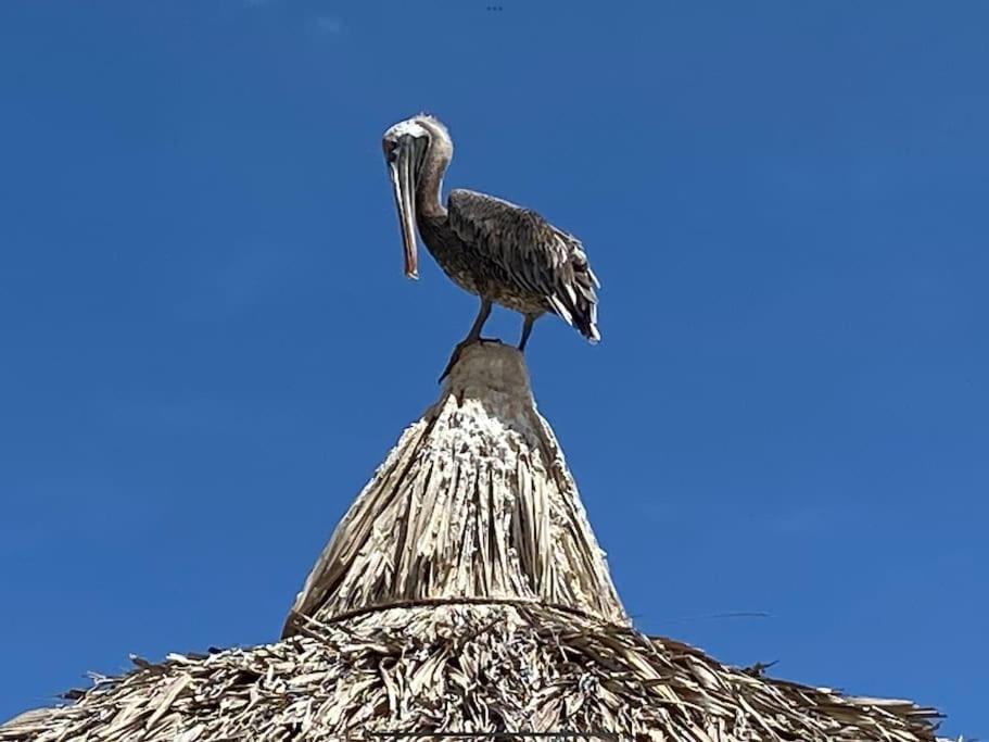 Prachtige bungalow / schitterend uniek uitzicht over baai en oceaan