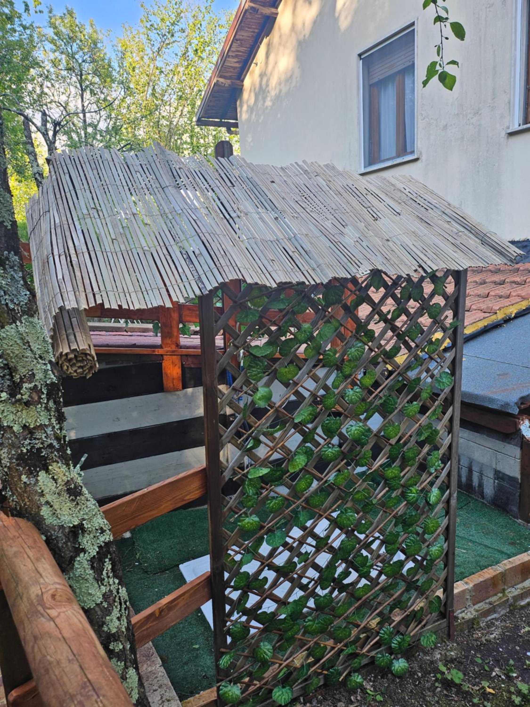 Photo 29