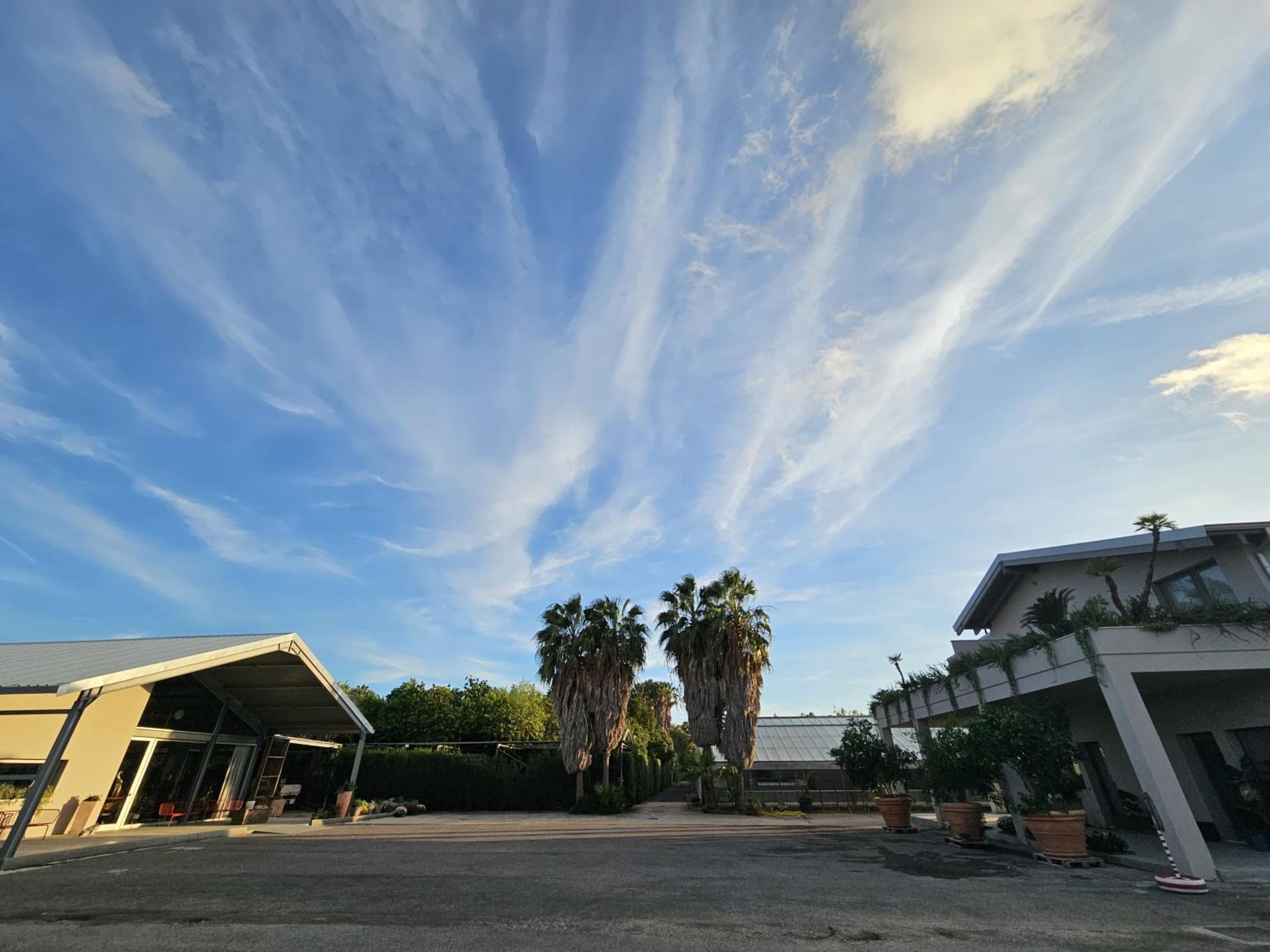 Hotel Ros'e Mari Green Home Hotel - Image 1