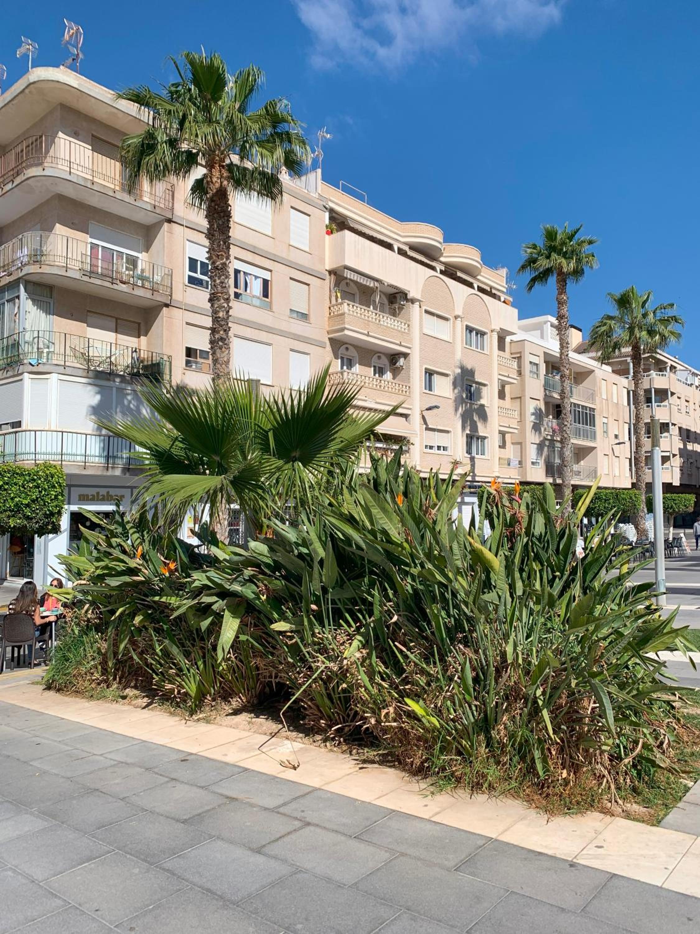 Residencia Blanca by ZANIS