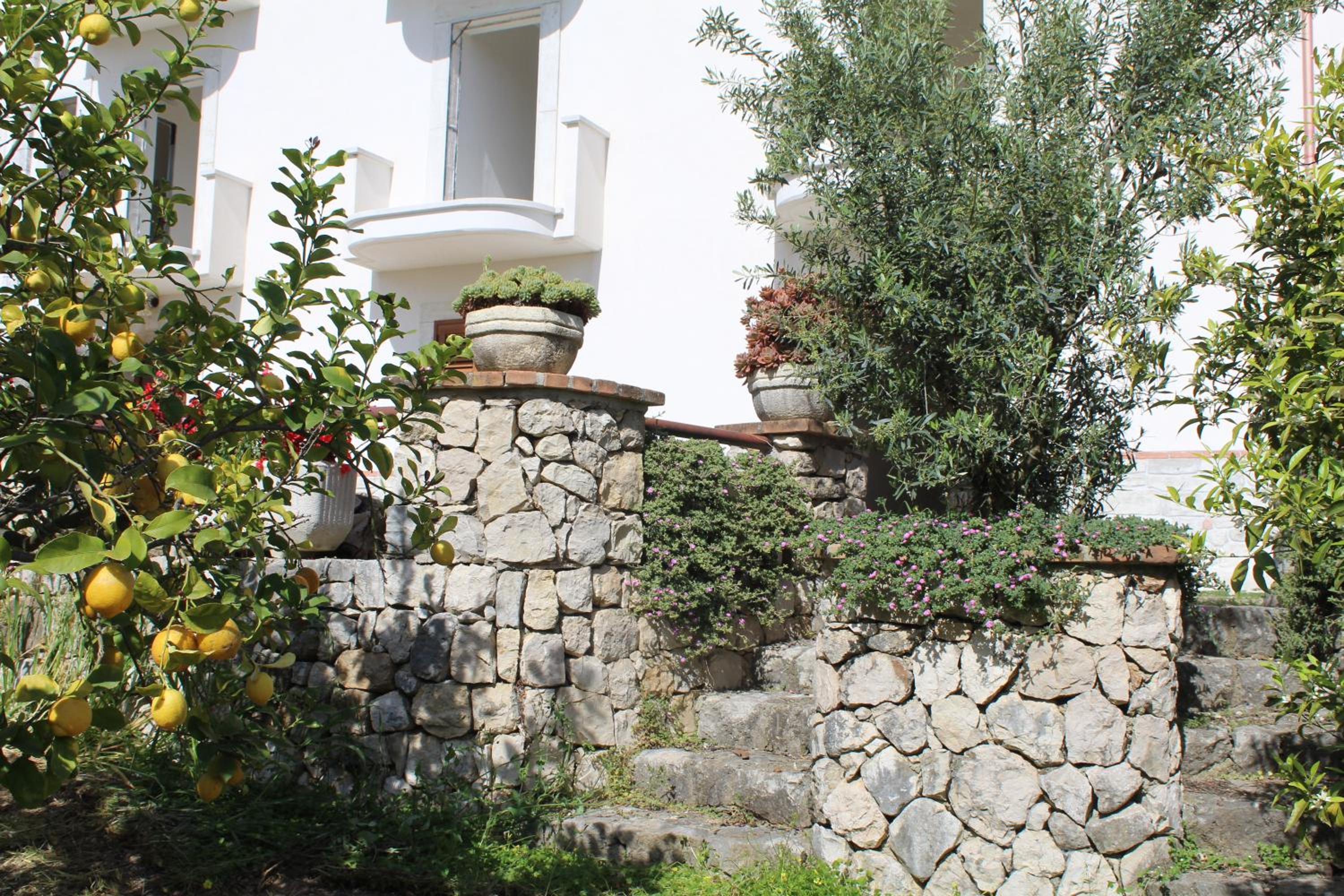 Photo 28