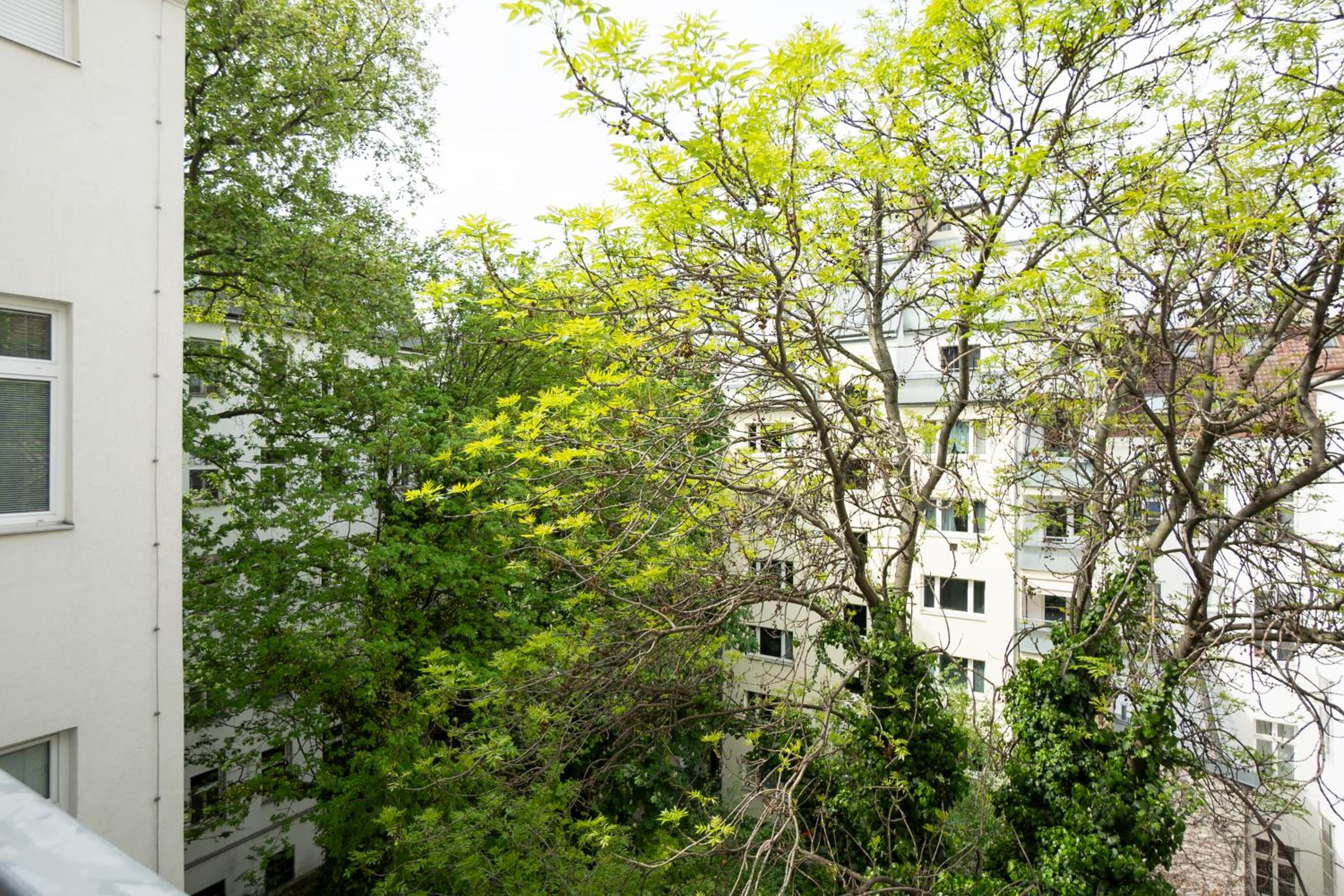 Pet-friendly flat near Belvedere