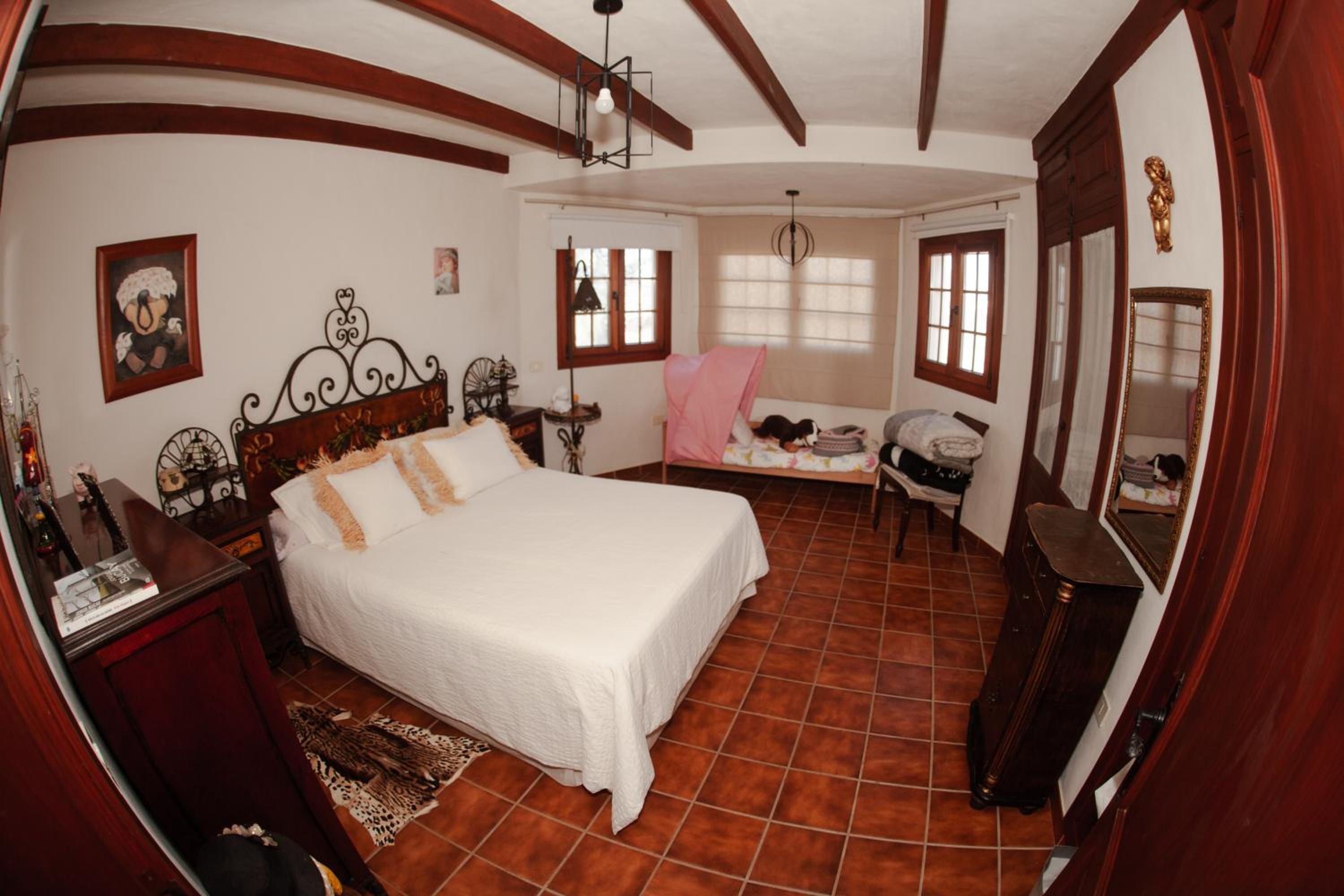 Casa Delfin