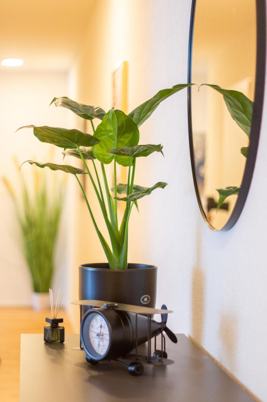 Special EiNSTEiN II Apartment Basel, Messe Kleinbasel 10-STAR