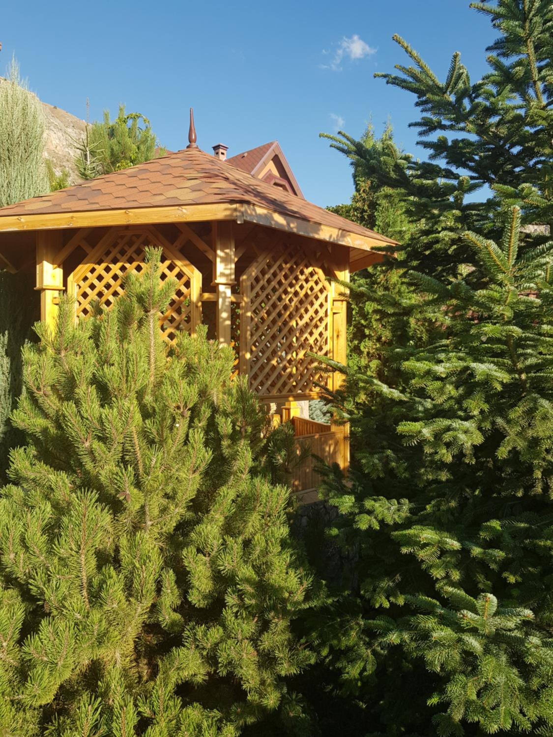 Photo 19
