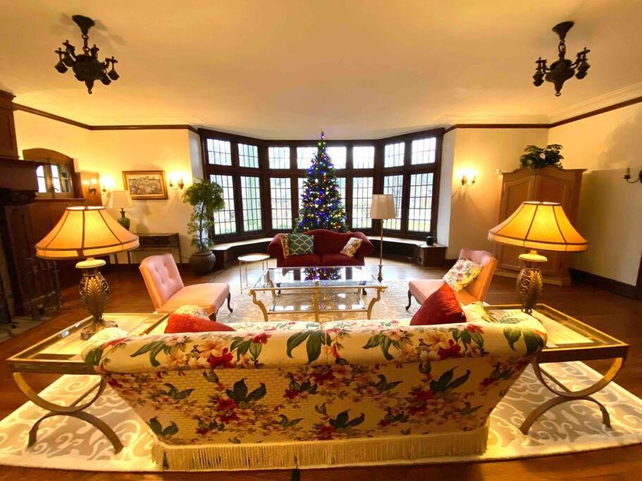 Luxurious Mansion for Large Groups