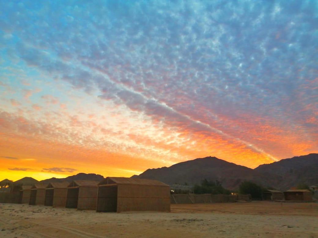 Taba Vacations - Sayal Camp - Property Image 6