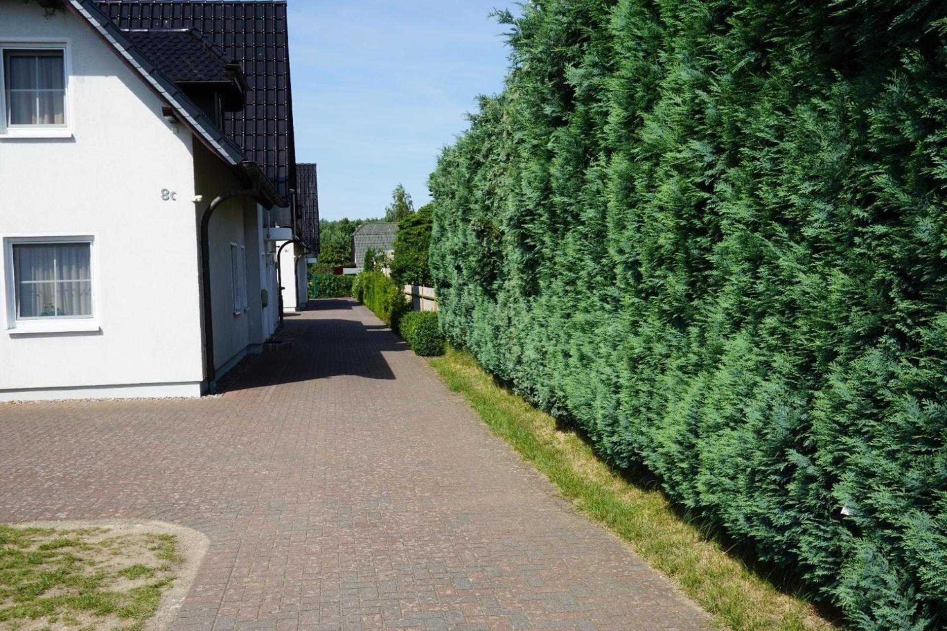 Exklusive Ferienwohnung in Zempin mit Garten