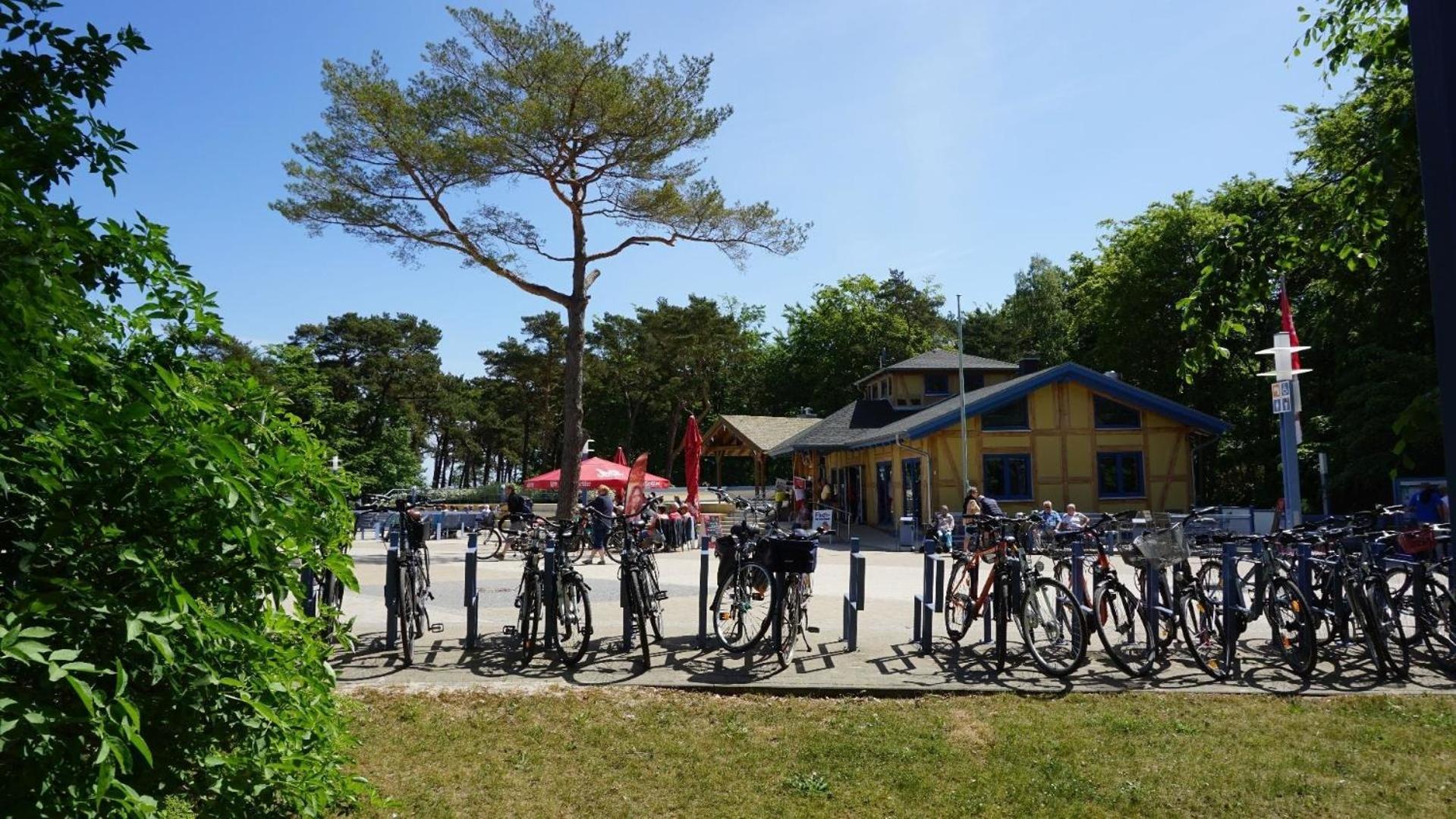 Exklusive Ferienwohnung in Zempin mit Garten