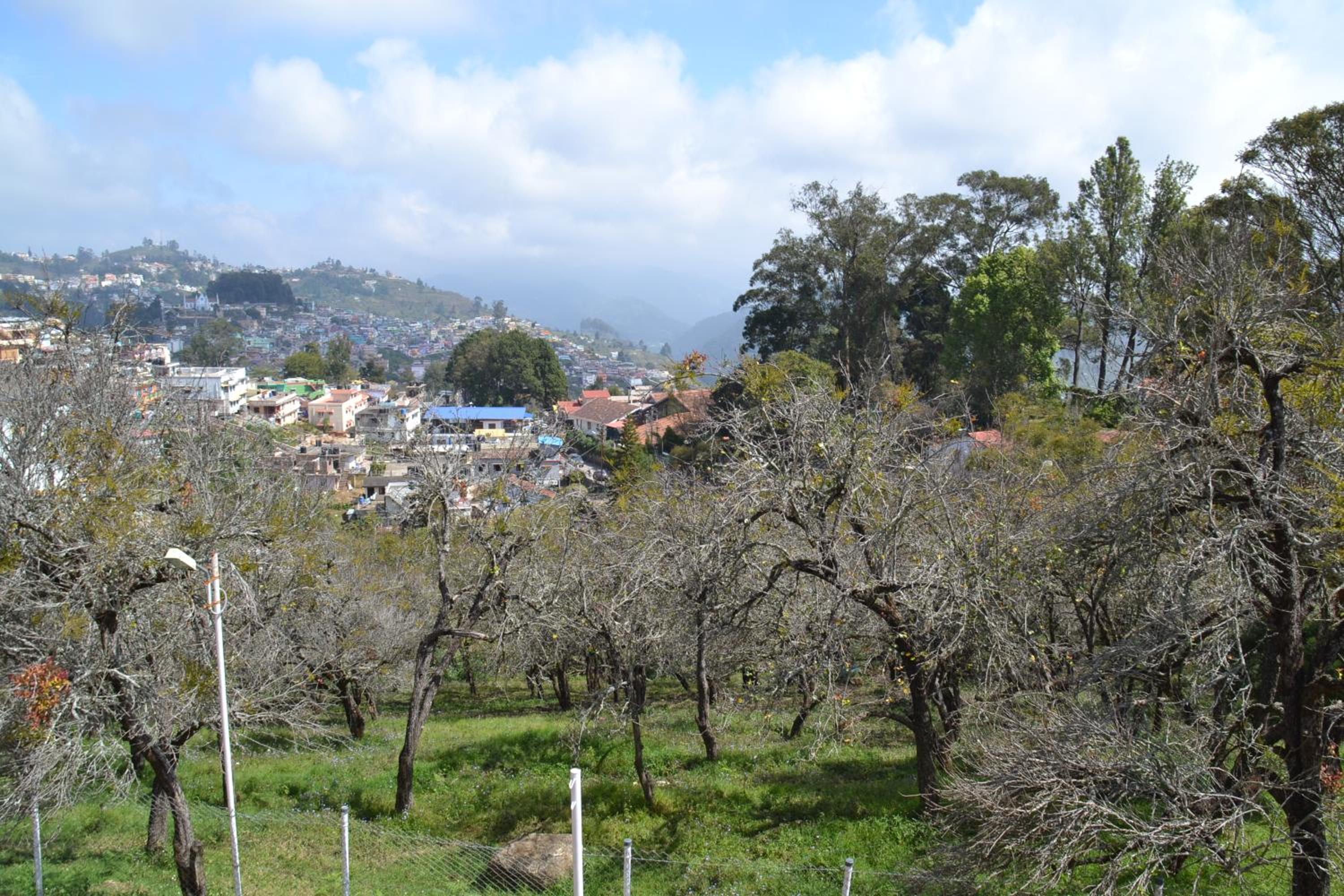 Photo 46